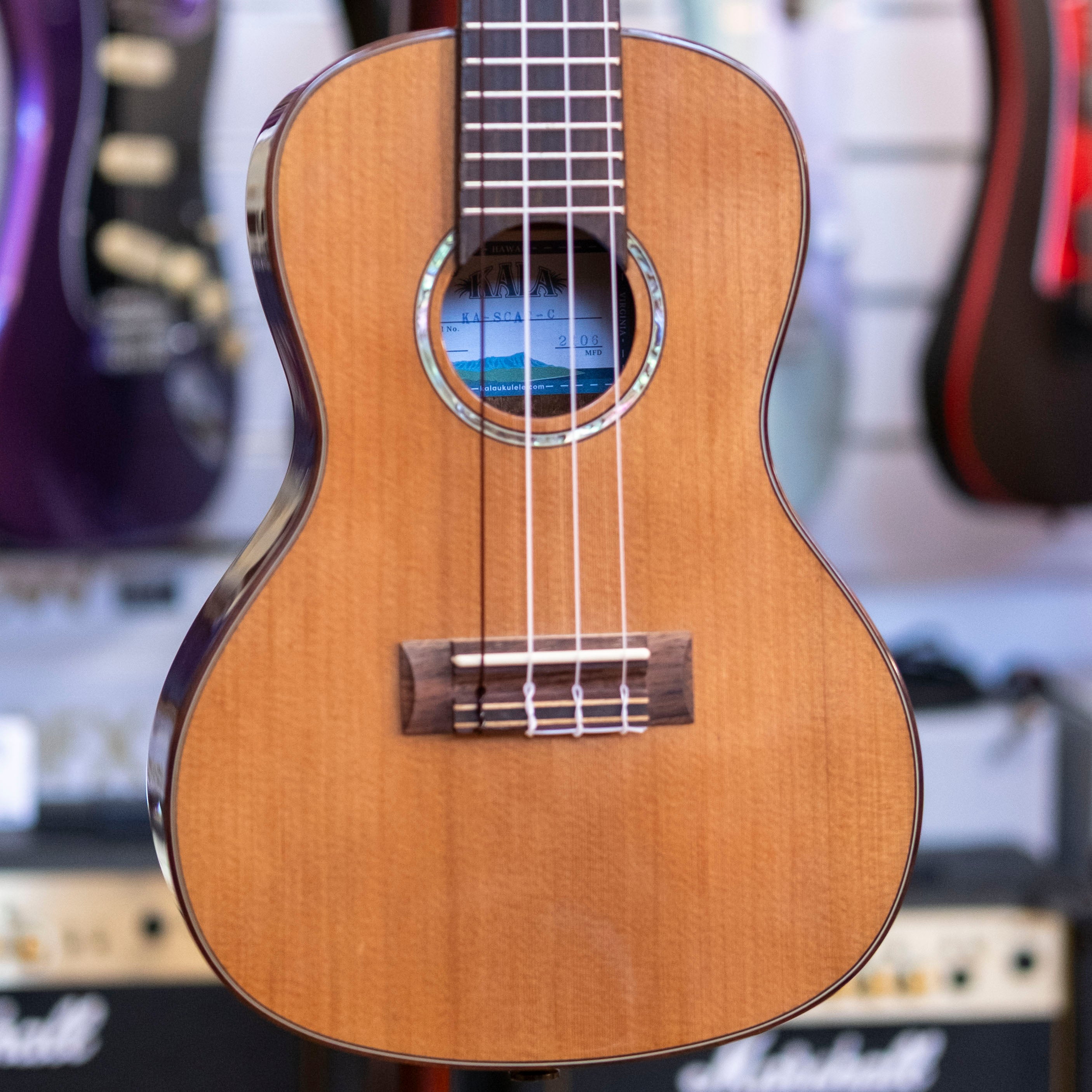 Kala KA-SCAC-C Solid Cedar Concert Ukulele with Mahalo Gig Bag (Pre-Owned)