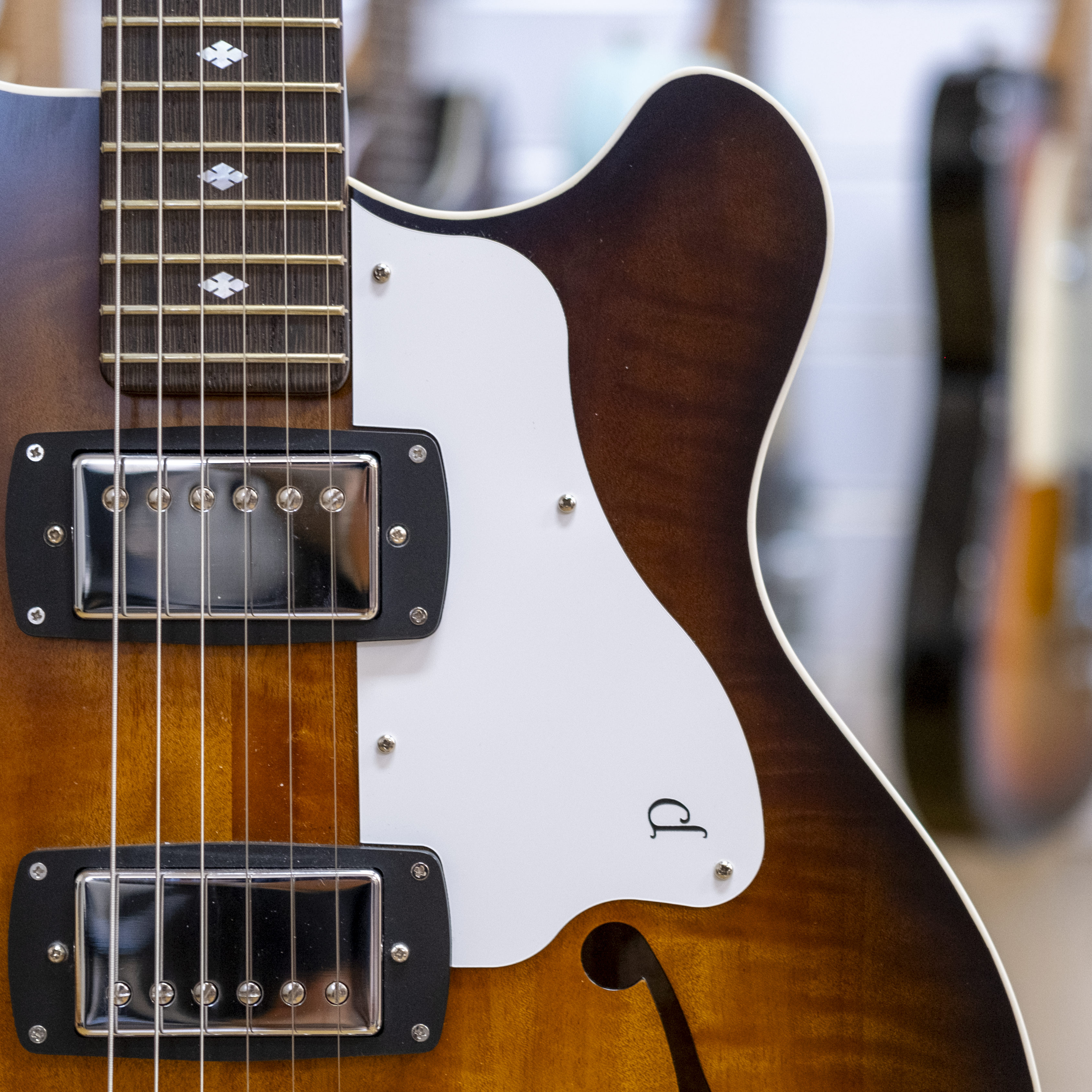 Pratley RBJ22 Double Cut Semi-Hollow Electric Guitar (Vintage Burst Blackwood)