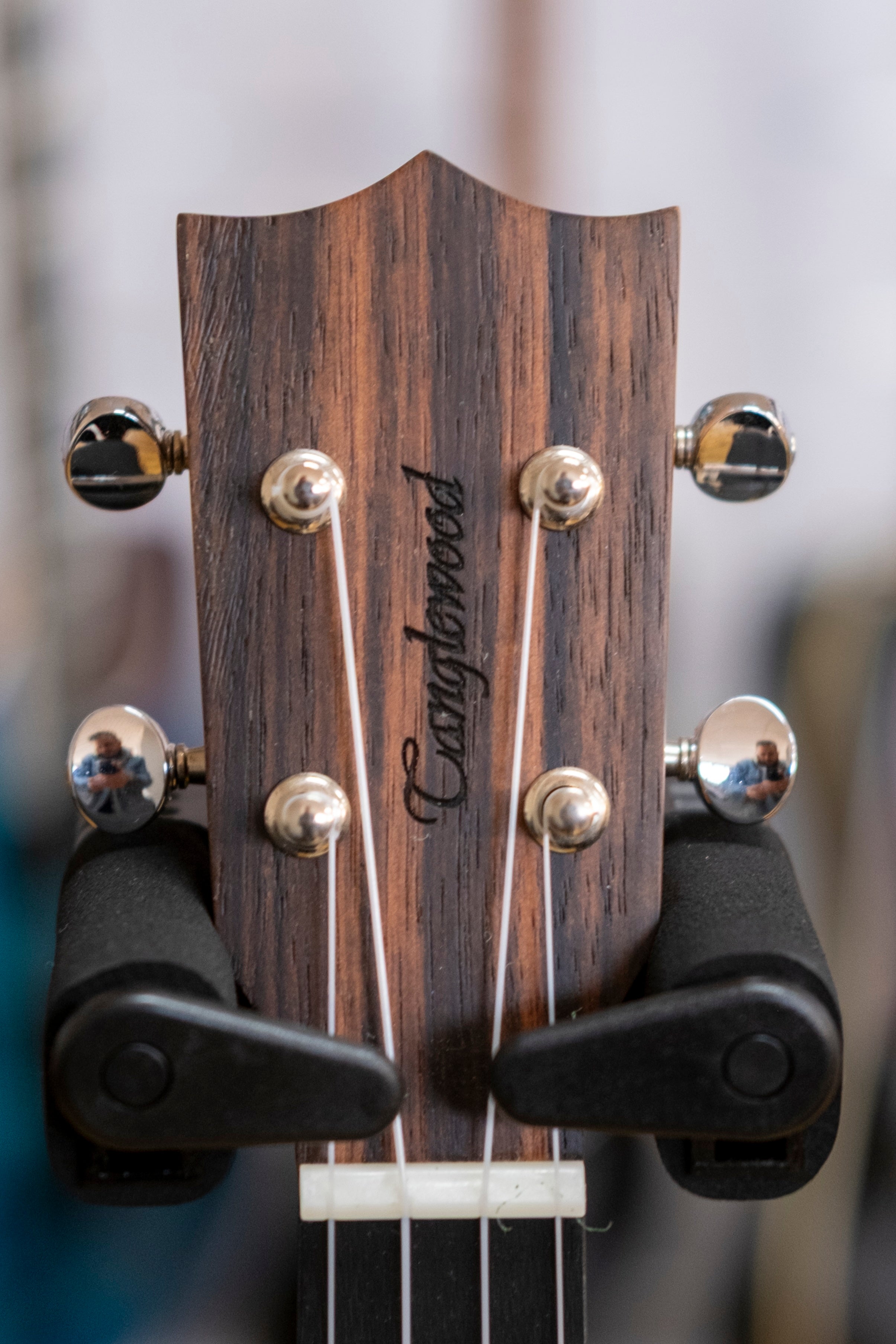 Tanglewood Tiare Series Tenor Ukulele with Bag (All Ebony)