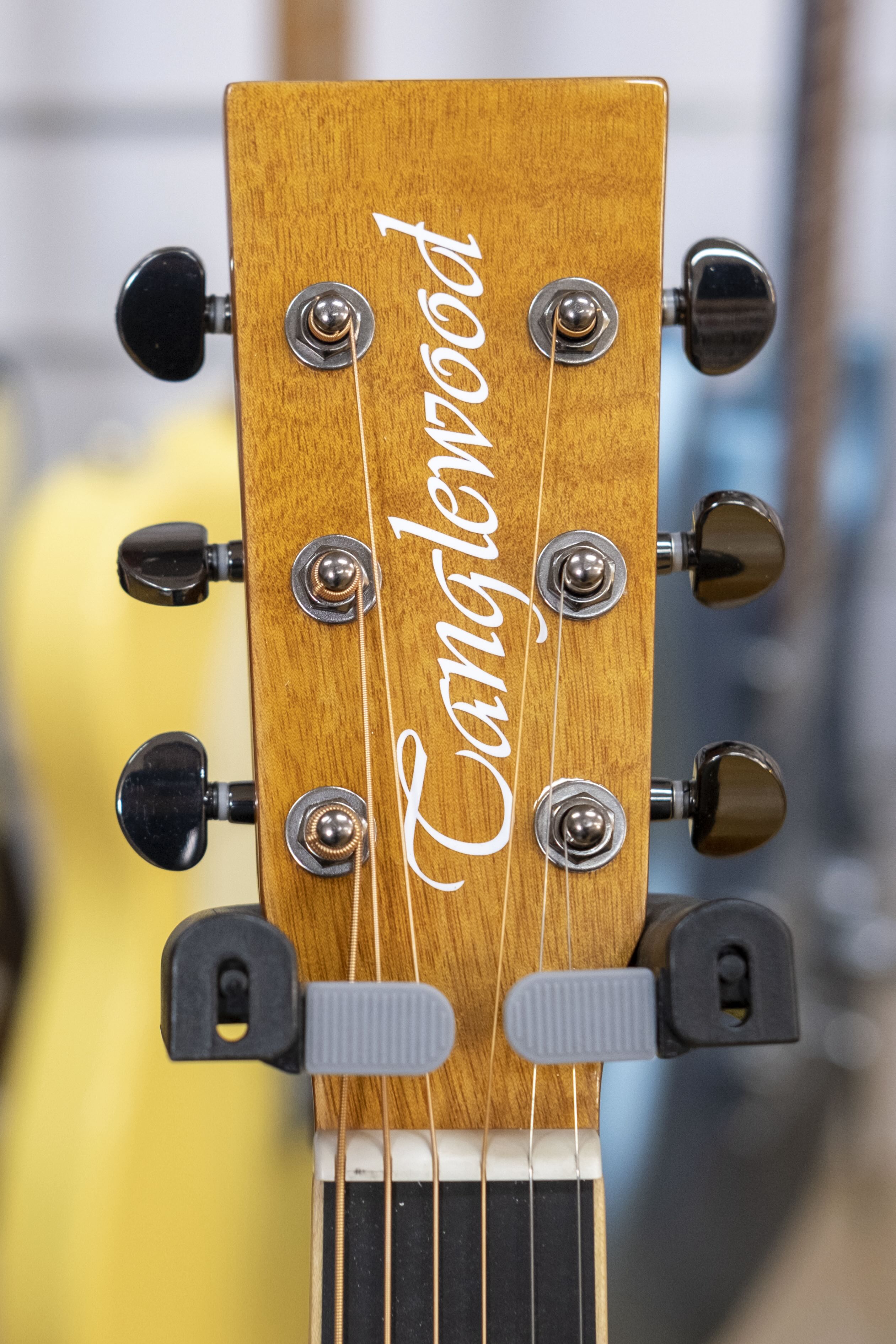 Tanglewood Reunion Dreadnought Acoustic Electric Guitar (Australian Red Cedar/Flame Mahogany)