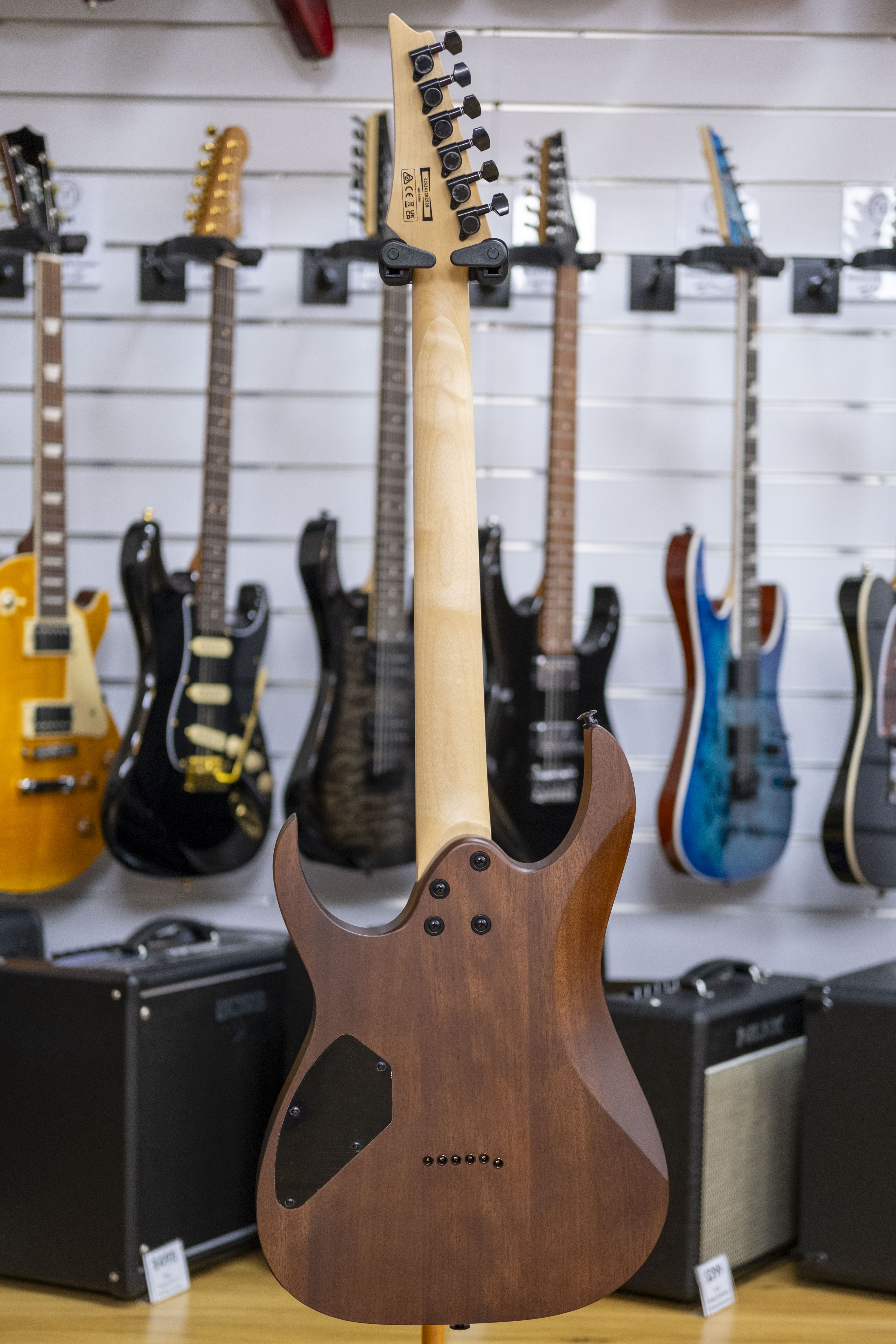 Ibanez Gio RG121DX Electric Guitar (Walnut Flat)