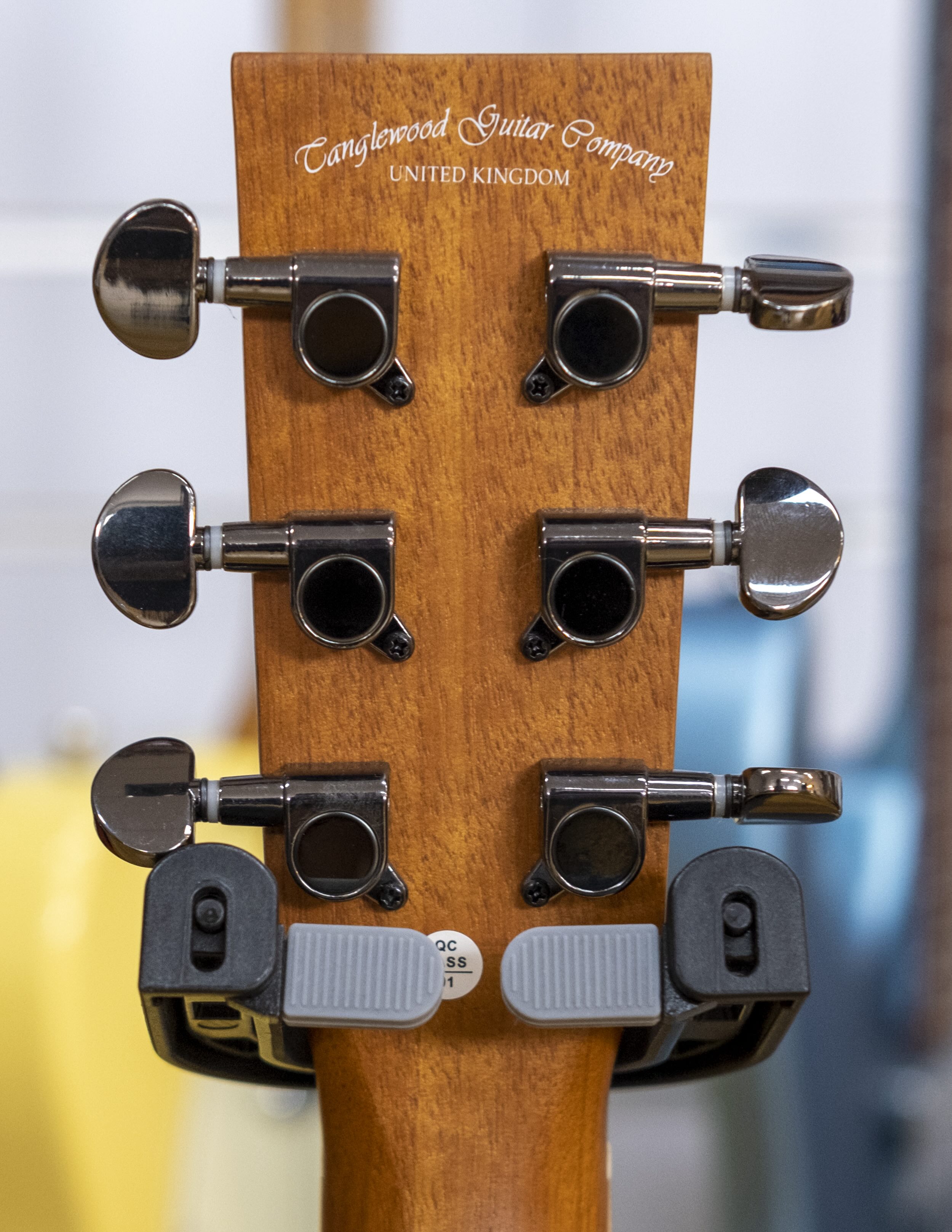 Tanglewood Reunion Traveller Acoustic Electric Guitar (Australian Red Cedar/Black Walnut)