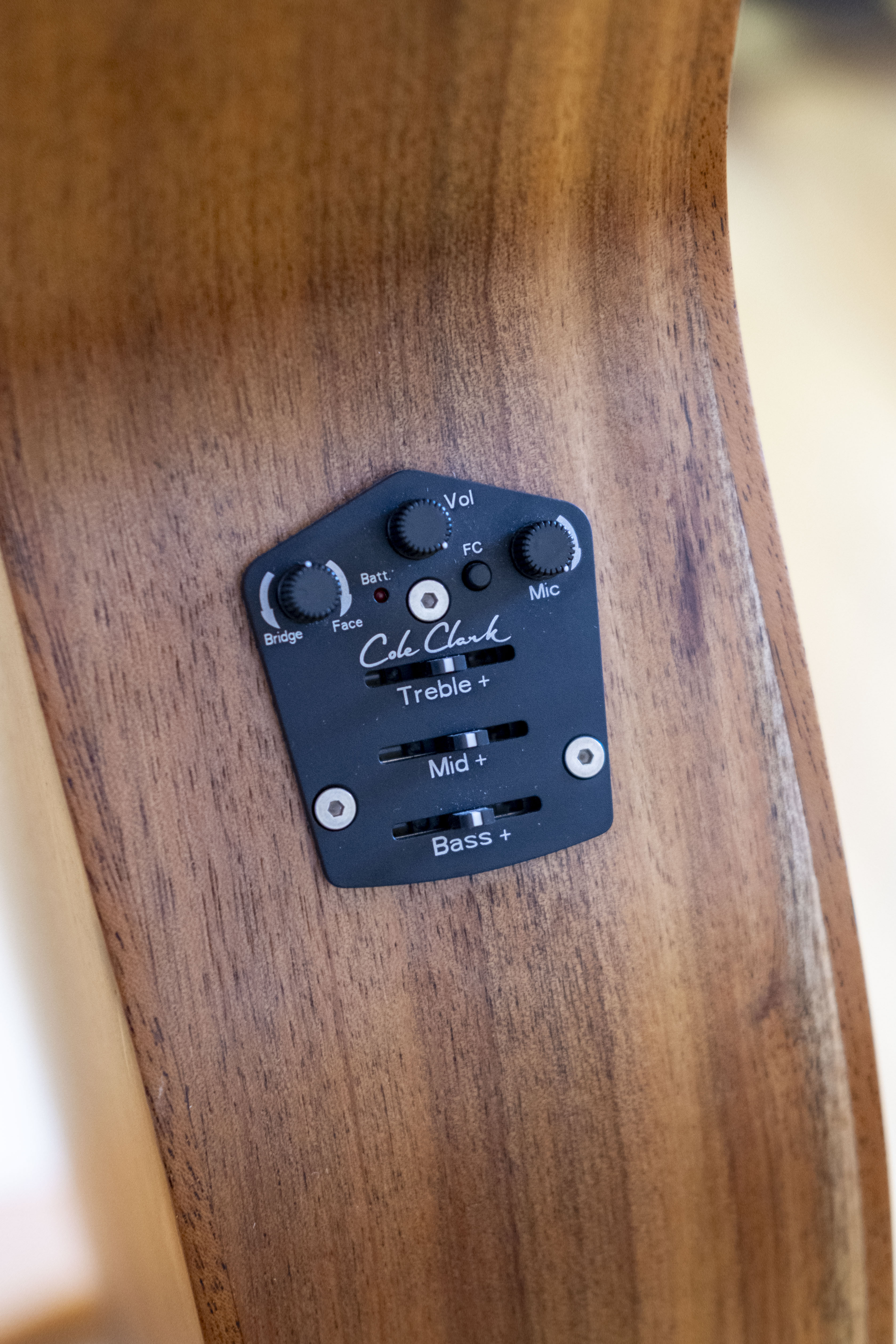 Cole Clark Studio Series Grand Auditorium Acoustic Electric Guitar (Australian Blackwood)