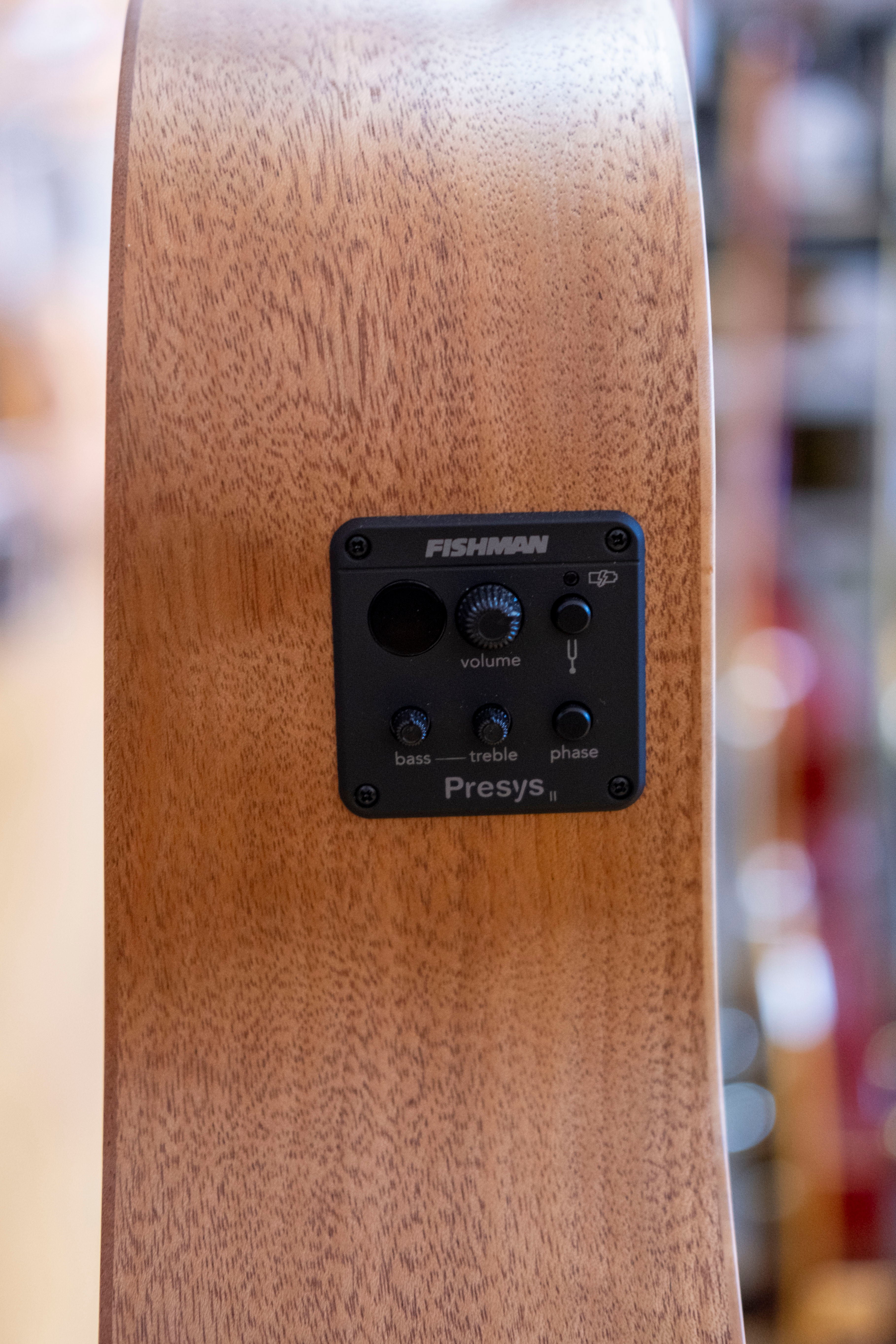 Pratley Entertainer Series Dreadnought Cutaway Acoustic Electric Guitar (Bunya/Maple)