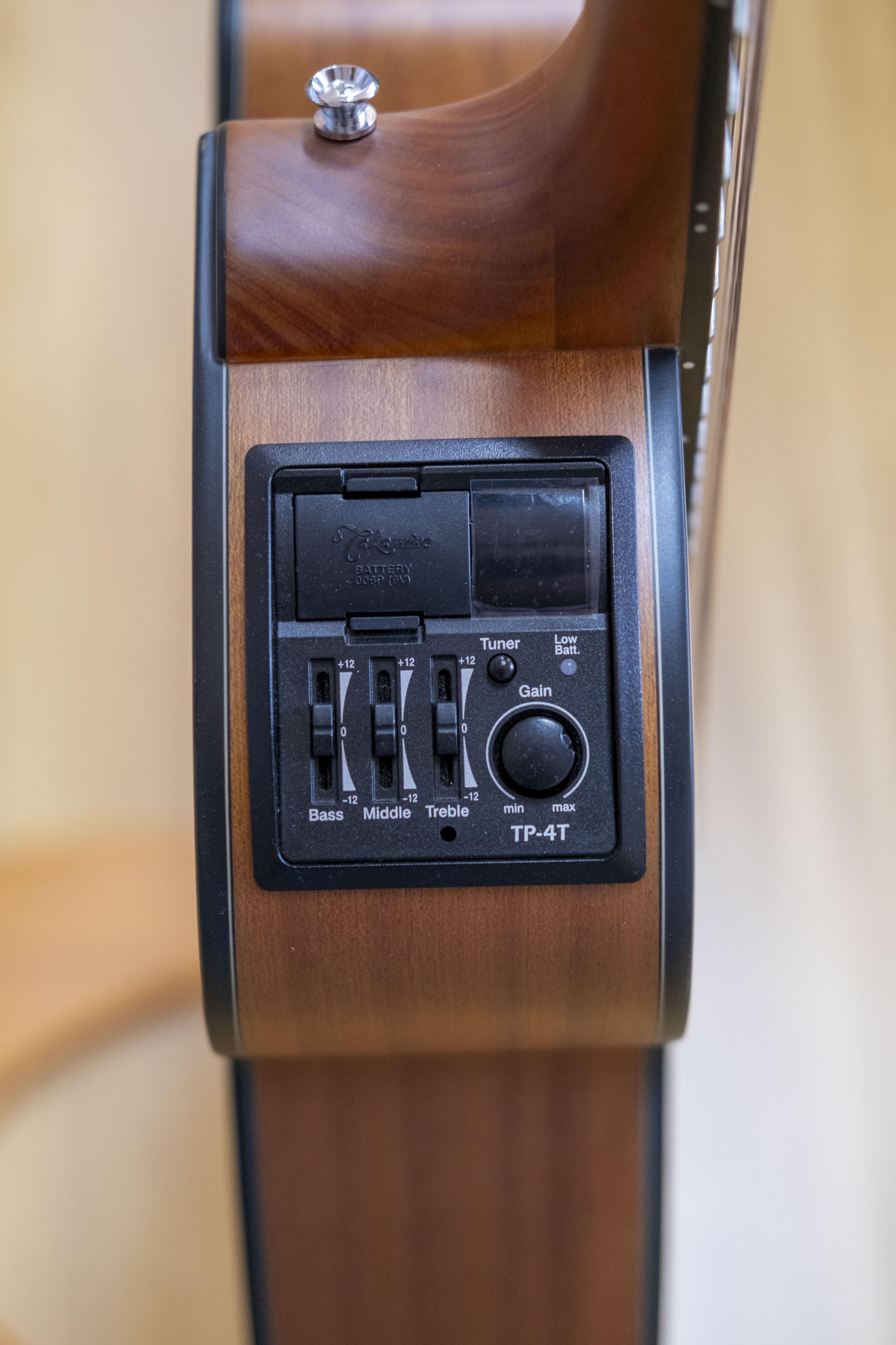 Takamine G Series Takamini Mini Series Acoustic Electric Guitar (Spruce)