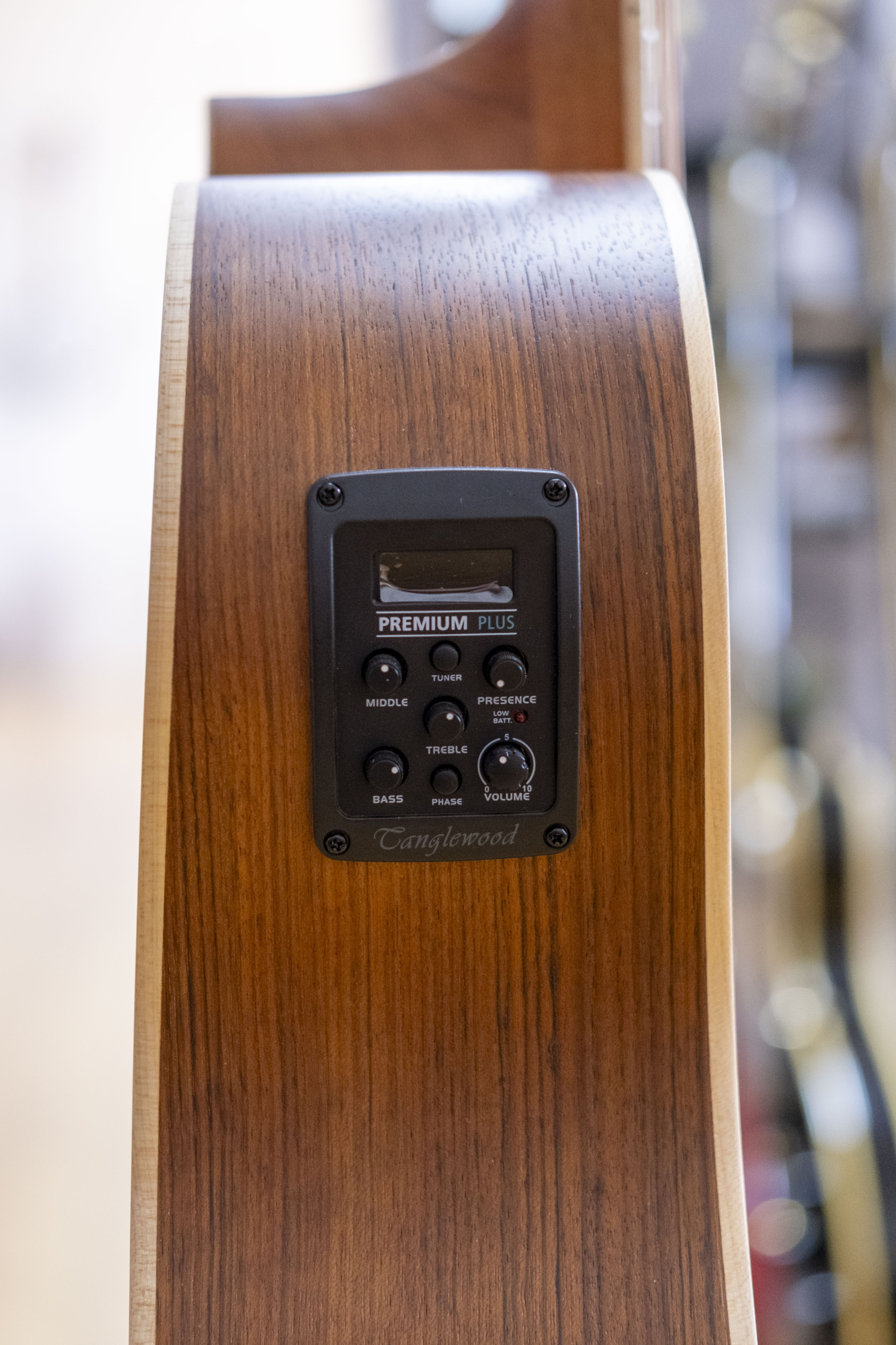 Tanglewood Discovery Exotic Series Dreadnought Acoustic Electric Guitar (Hawaiian Rainwood)