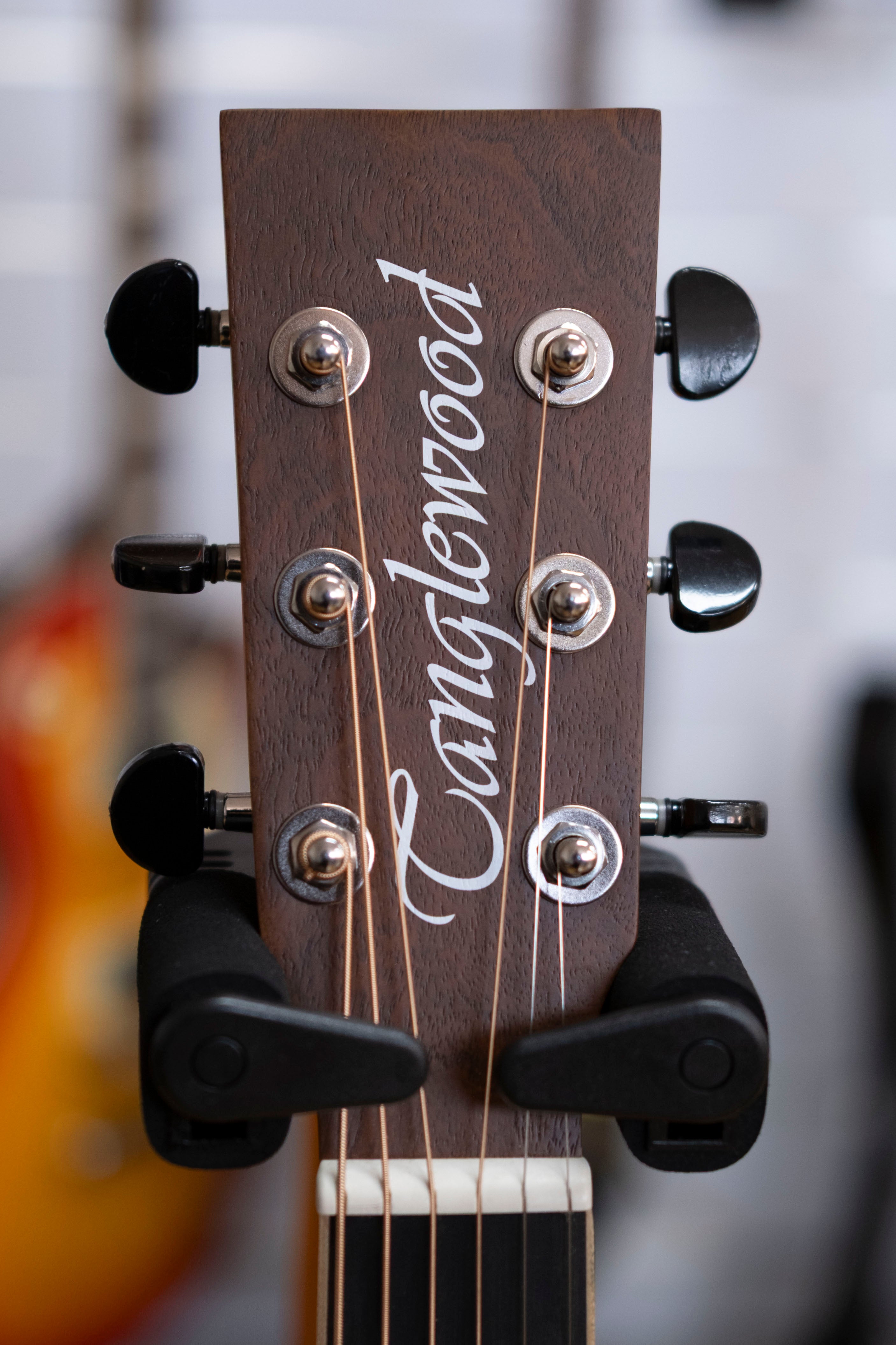 Tanglewood Discovery Exotic Series Dreadnought Acoustic Electric Guitar (Hawaiian Rainwood)