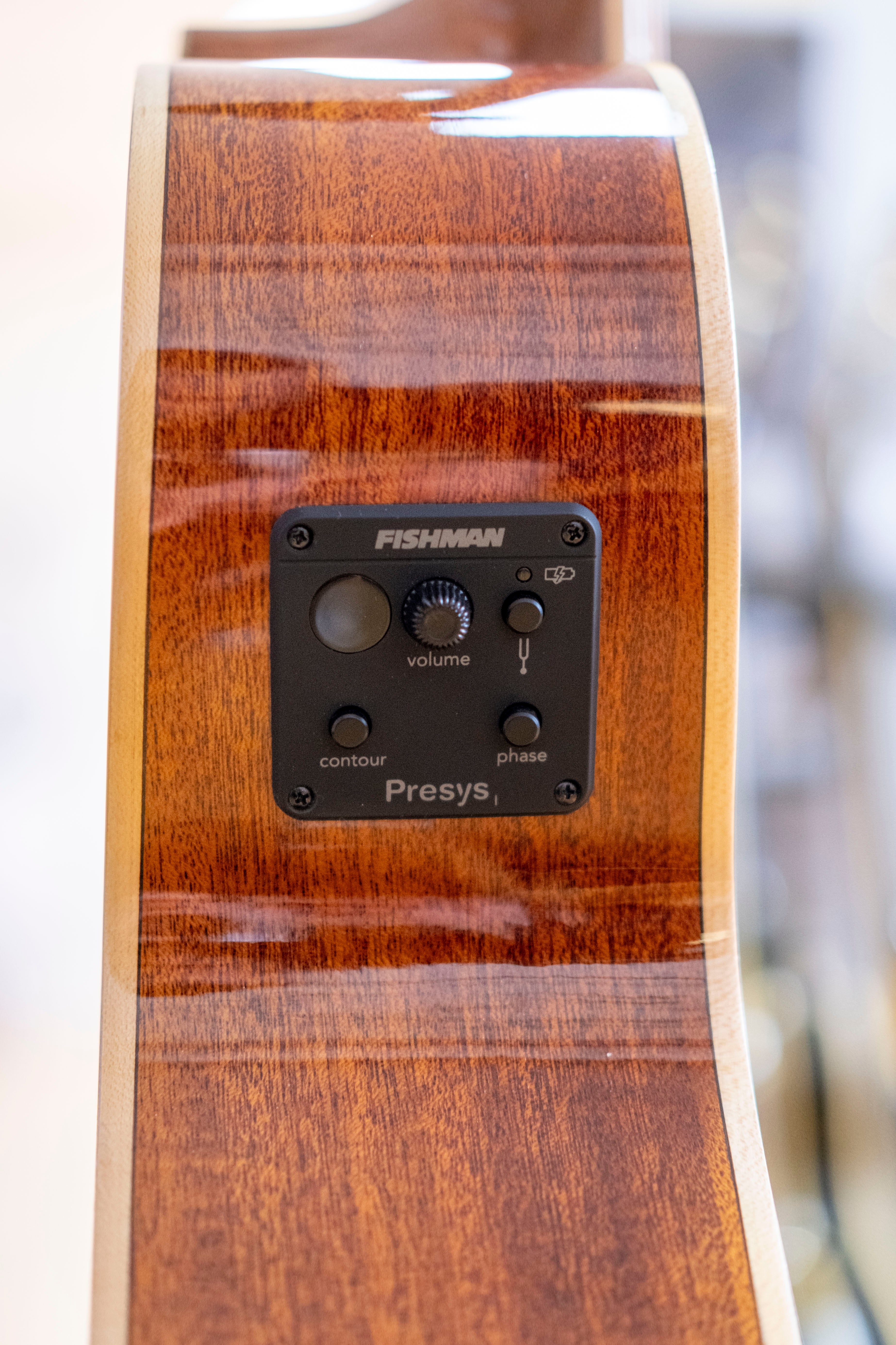 Tanglewood Winterleaf Exotic Superfolk Acoustic Electric Guitar (Tiger Flame Maple)