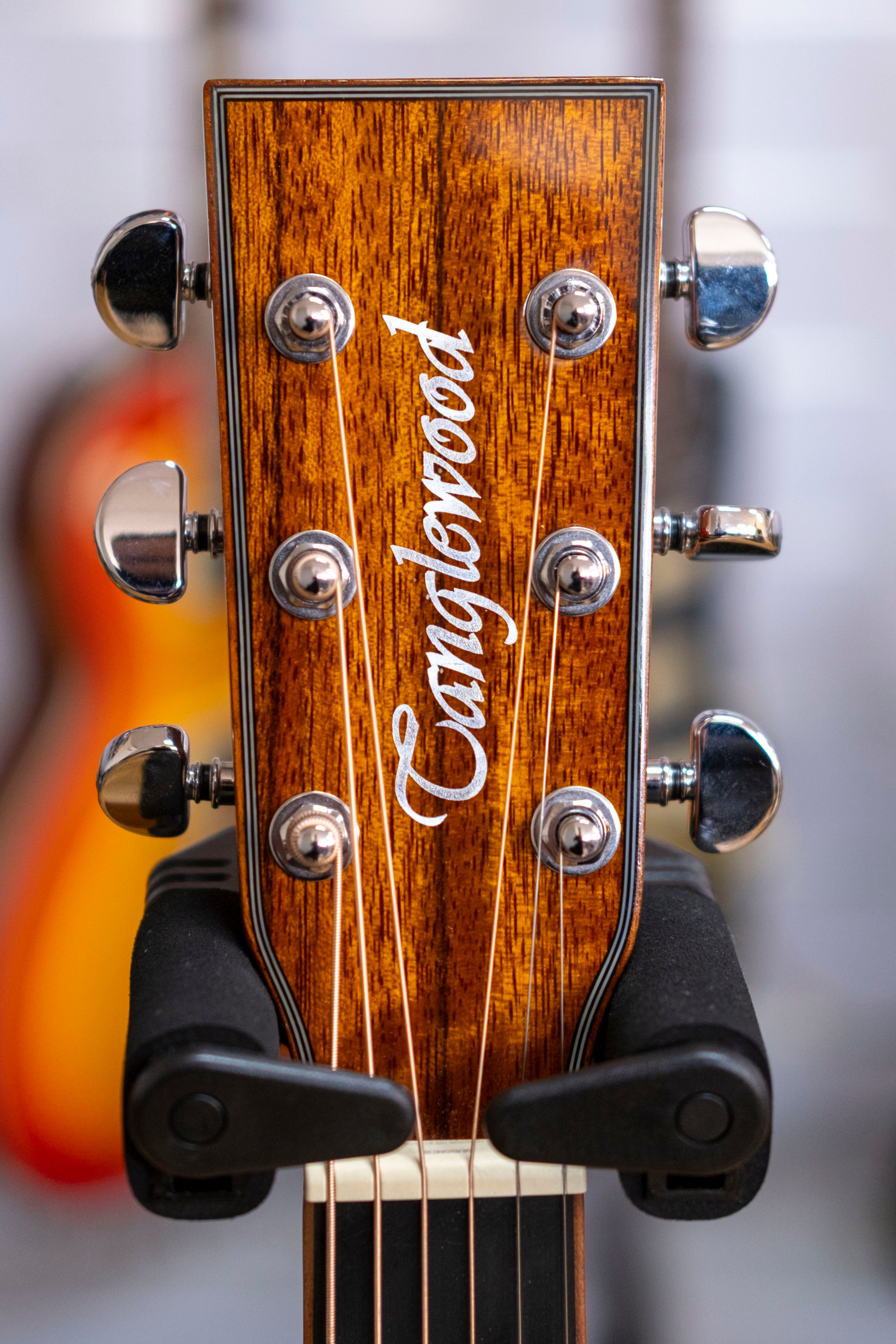 Tanglewood Winterleaf Exotic Grand Auditorium Acoustic Electric Guitar (Pacific Walnut)