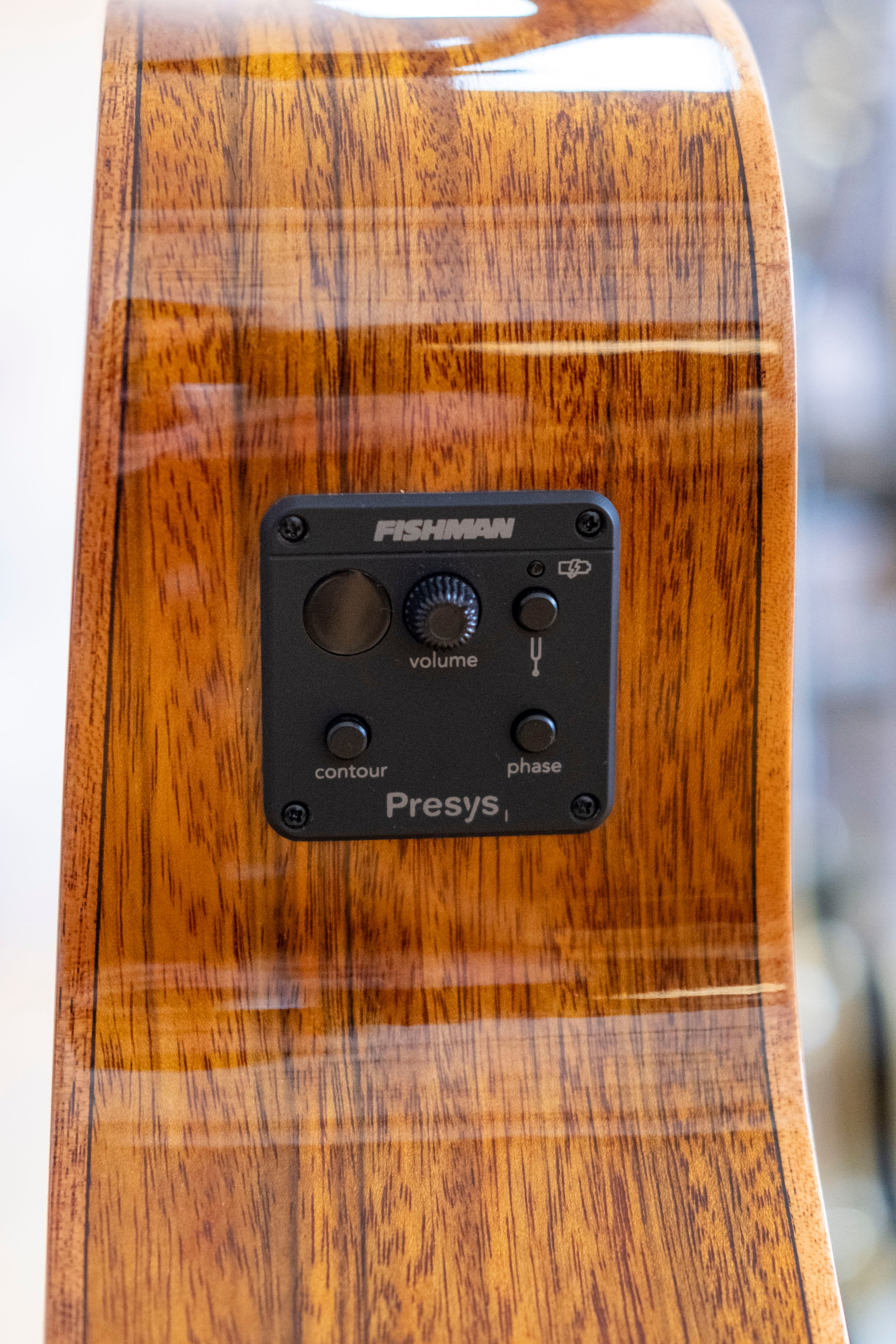 Tanglewood Winterleaf Exotic Grand Auditorium Acoustic Electric Guitar (Pacific Walnut)