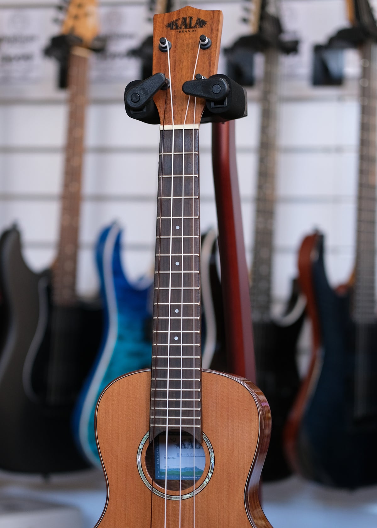 Kala Gloss Solid Cedar Top Acacia Concert Ukulele (Pre-Owned)