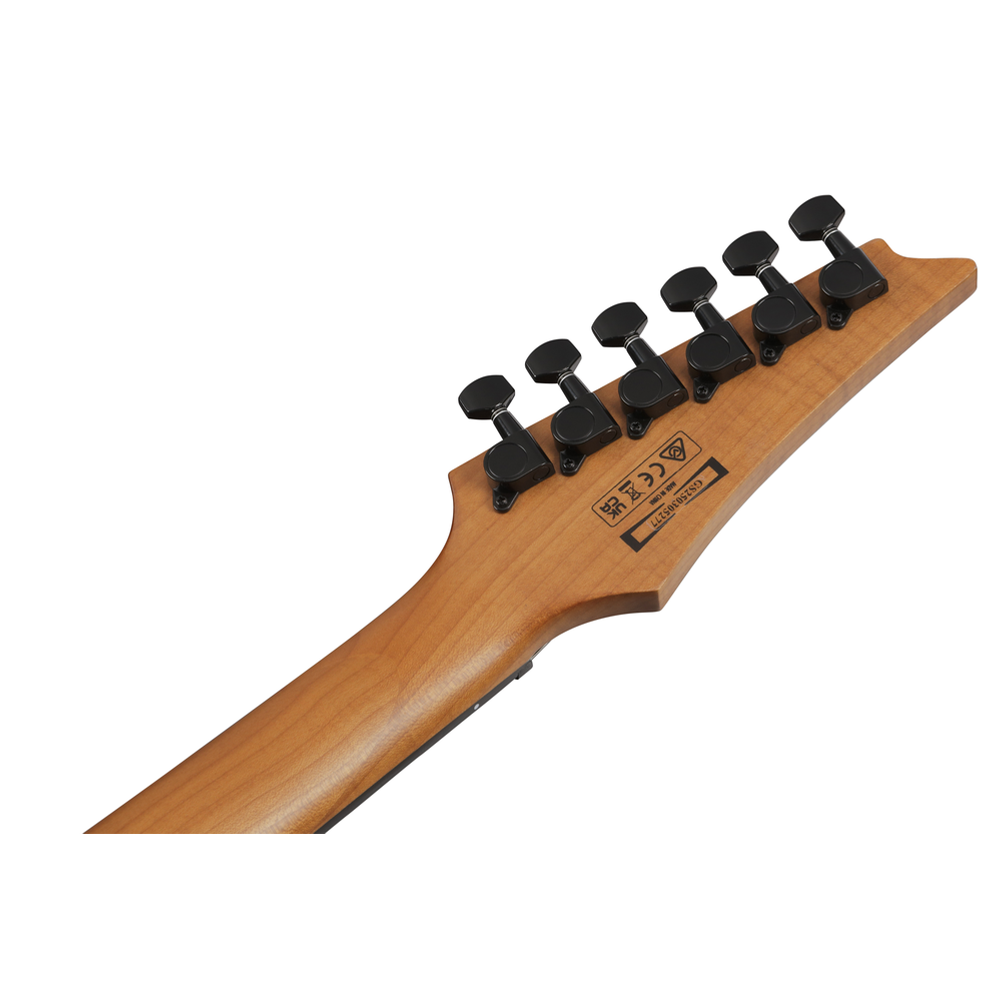 Ibanez Gio GRGR221FA Electric Guitar (Transparent Indigo Black)