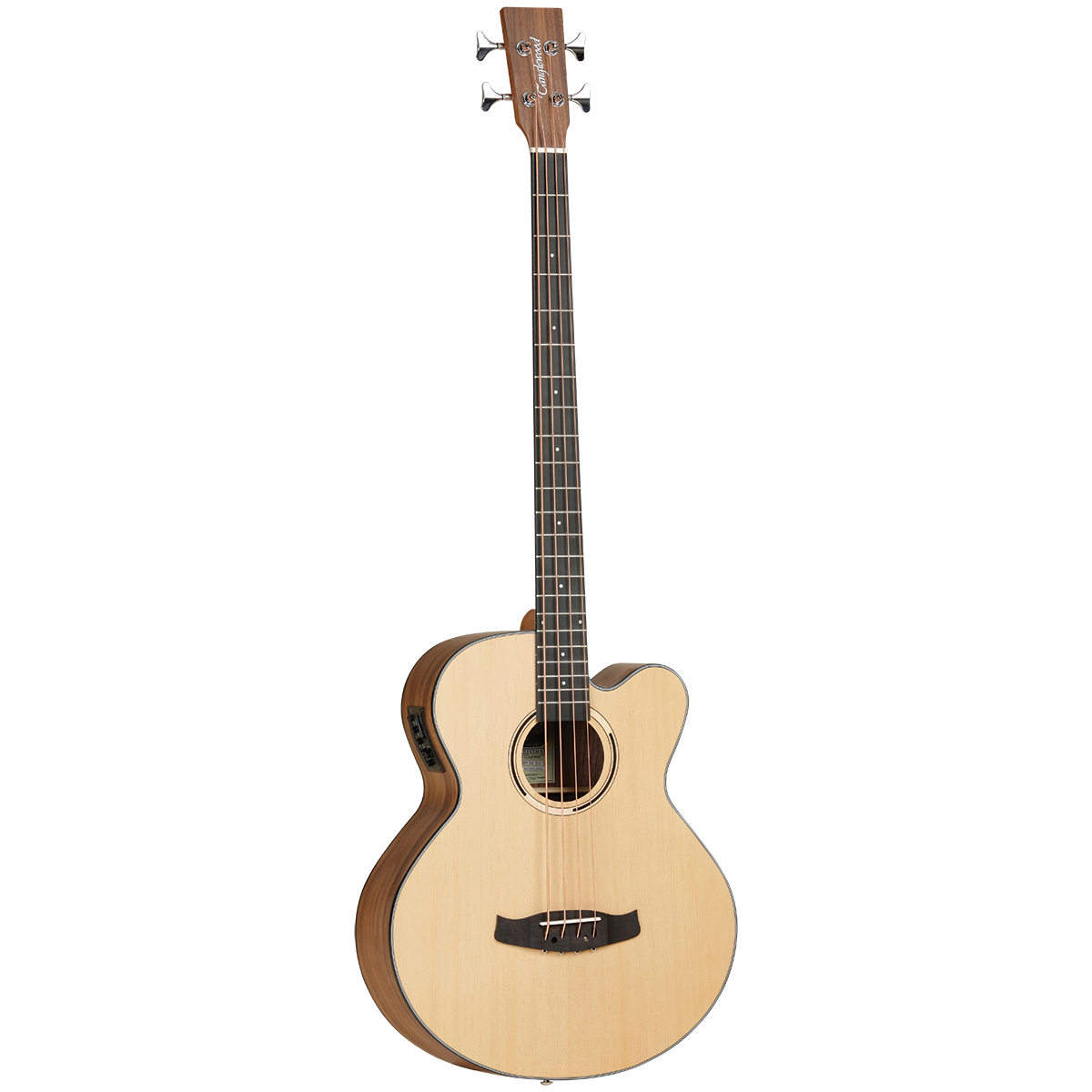 Tanglewood Discovery Exotic Acoustic Electric Bass (Black Walnut)