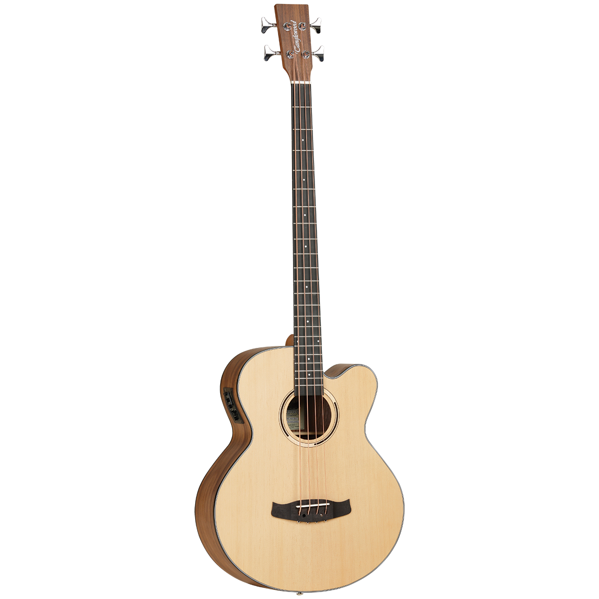 Tanglewood Discovery Exotic Series Acoustic Electric Bass Guitar (Black Walnut)