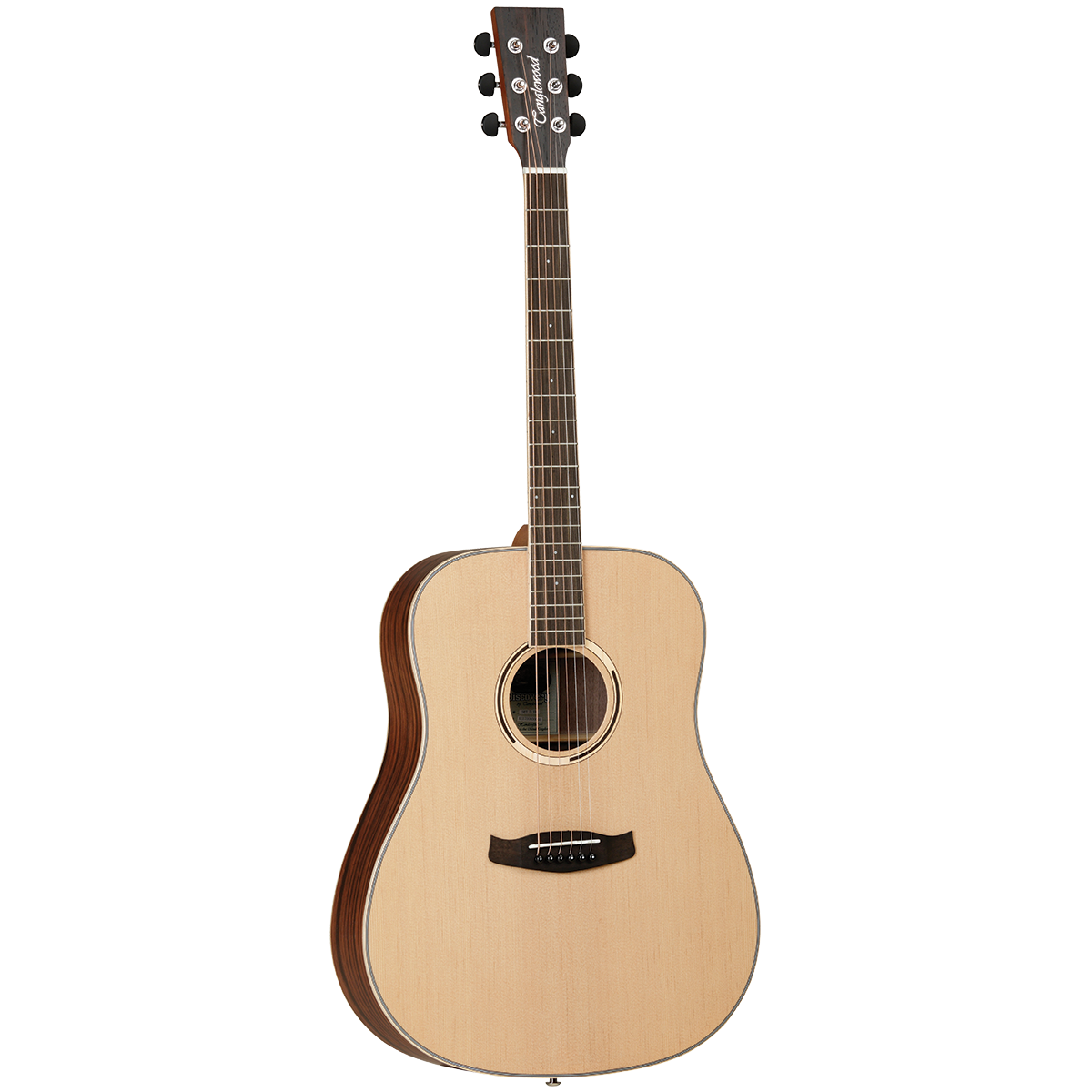 Tanglewood Discovery Exotic Series Dreadnought Acoustic Guitar (Ebony)