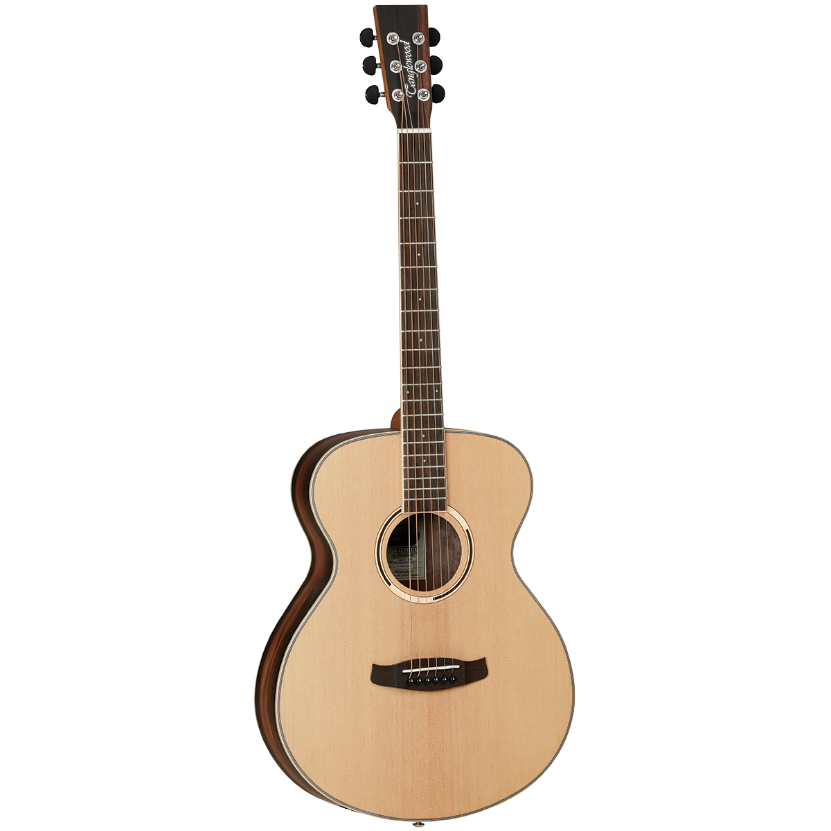 Tanglewood Discovery Exotic Folk Acoustic Guitar (Spruce/Ebony)