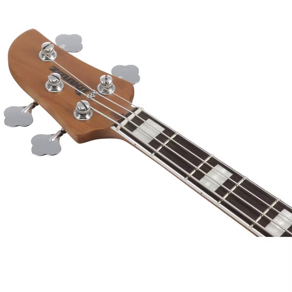 Ibanez TMB400TA Talman Series 4-String Bass Guitar (Iced Americano Burst)