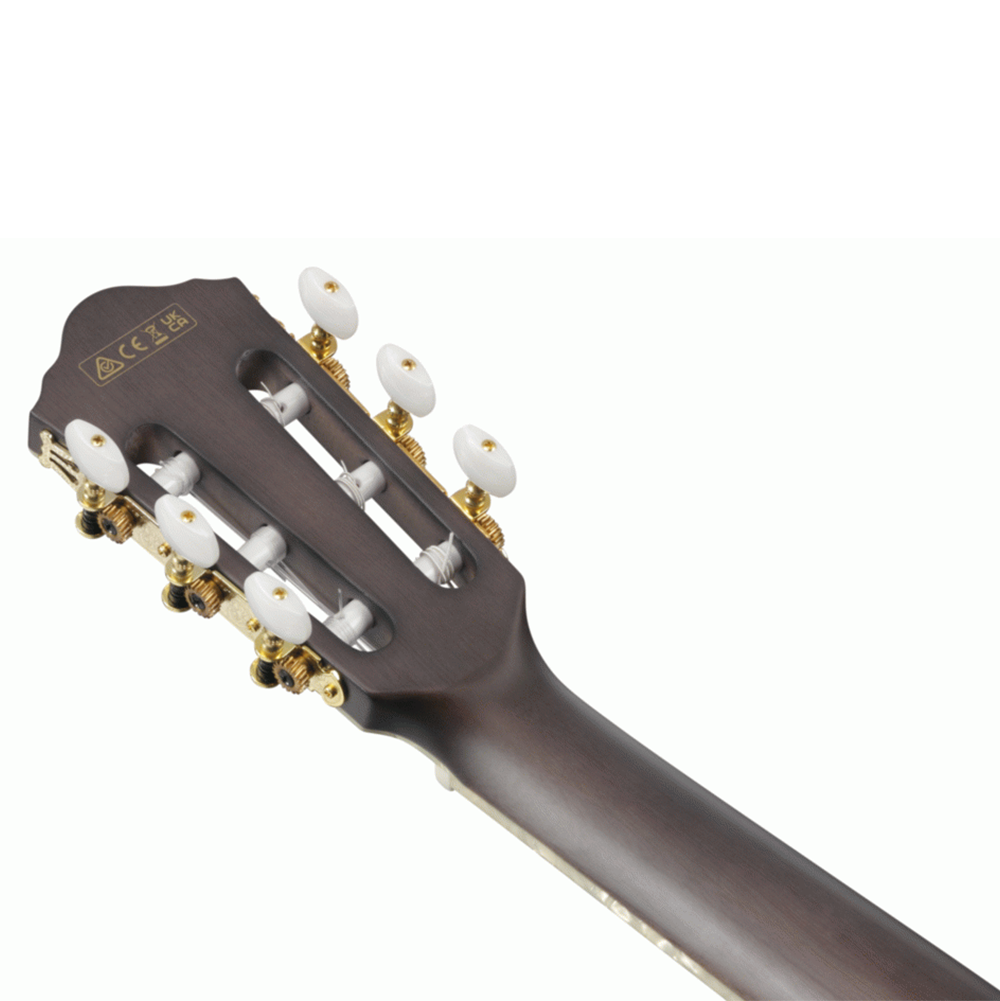 Ibanez TOD10N Tim Henson Signature Acoustic Electric Guitar (Trans Black Flat)