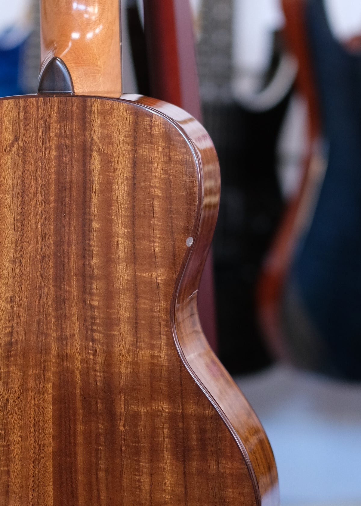 Kala Gloss Solid Cedar Top Acacia Concert Ukulele (Pre-Owned)
