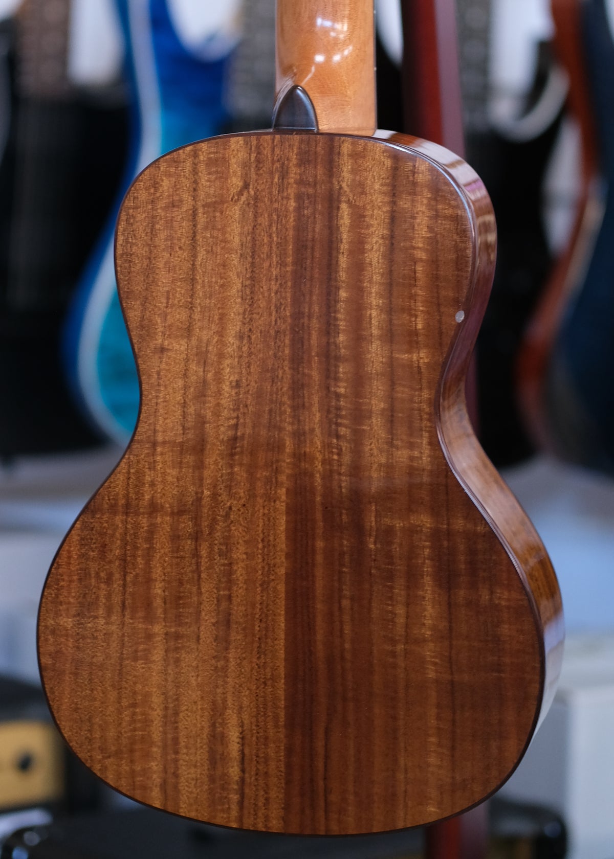 Kala Gloss Solid Cedar Top Acacia Concert Ukulele (Pre-Owned)