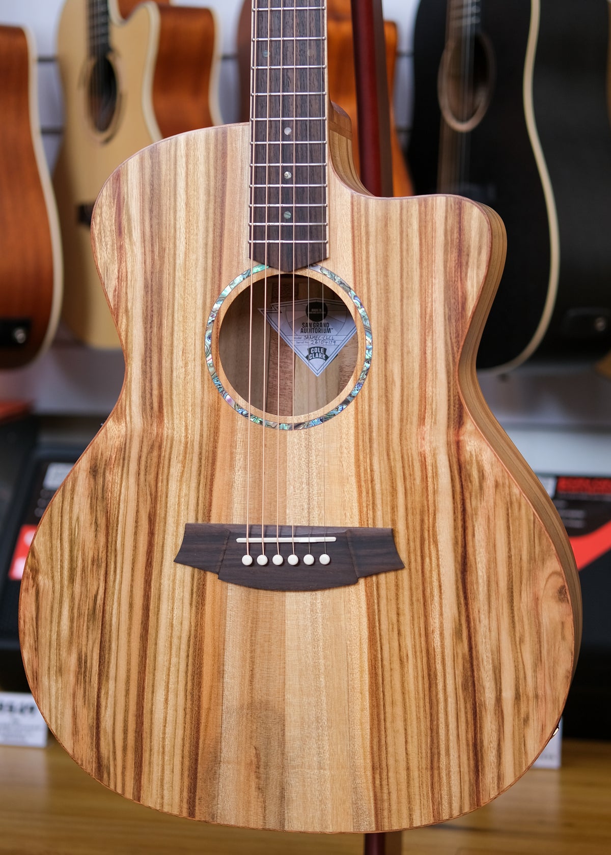 Cole Clark Studio Grand Auditorium Acoustic Electric Guitar with Deluxe Gig Bag (All Solid Camphor Laurel)