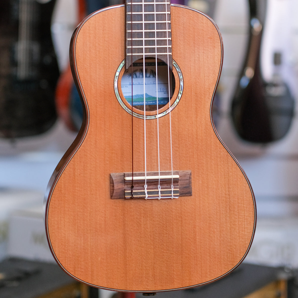 Kala Gloss Solid Cedar Top Acacia Concert Ukulele (Pre-Owned)