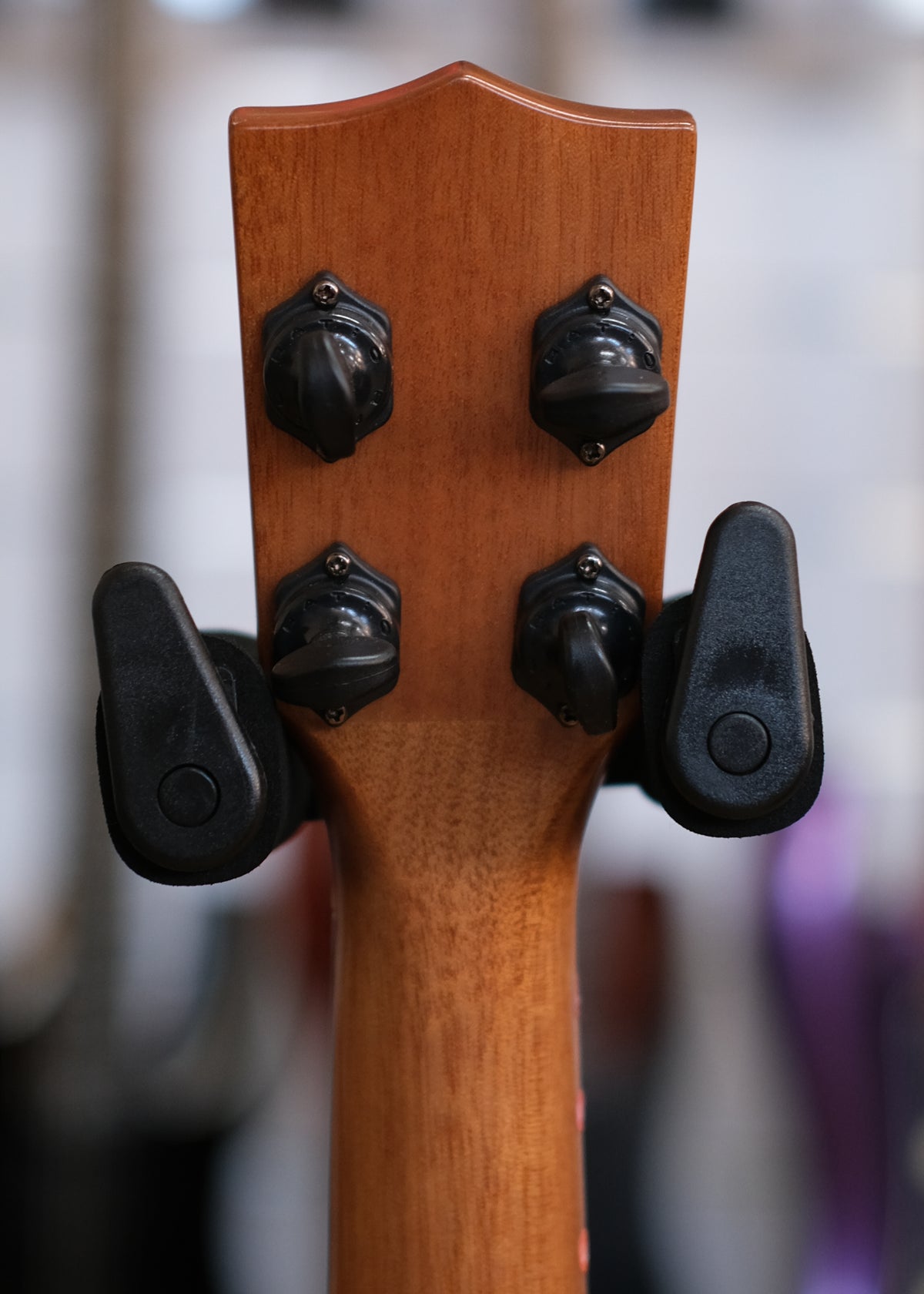 Kala Gloss Solid Cedar Top Acacia Concert Ukulele (Pre-Owned)