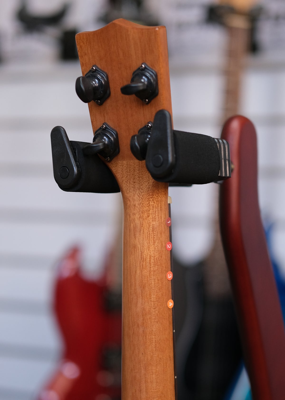 Kala Gloss Solid Cedar Top Acacia Concert Ukulele (Pre-Owned)
