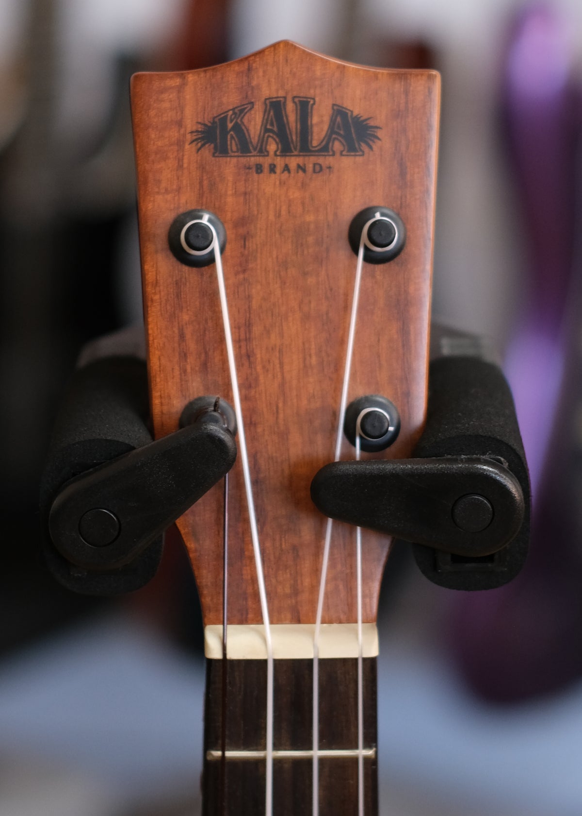 Kala Gloss Solid Cedar Top Acacia Concert Ukulele (Pre-Owned)