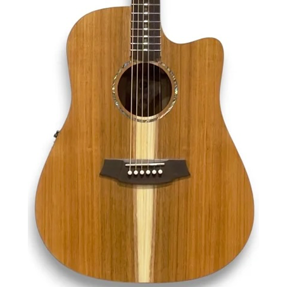 Cole Clark Studio FL Dreadnought Acoustic Electric Guitar (All Solid Blackwood)