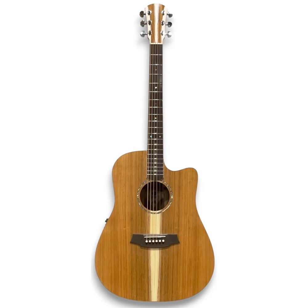 Cole Clark Studio FL Dreadnought Acoustic Electric Guitar (All Solid Blackwood)