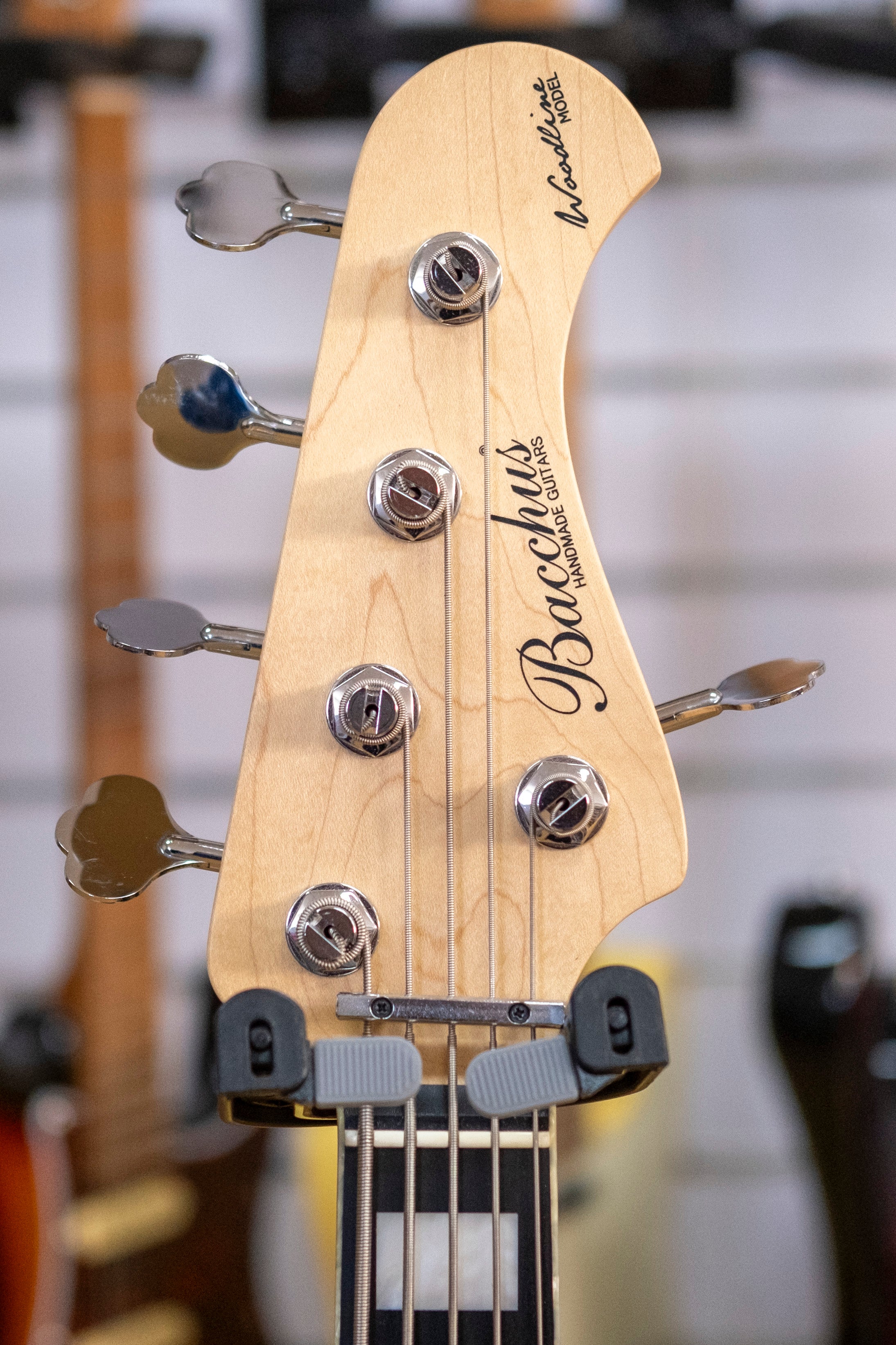 Bacchus Woodline Series 5-String Bass Guitar (Brown Oil)