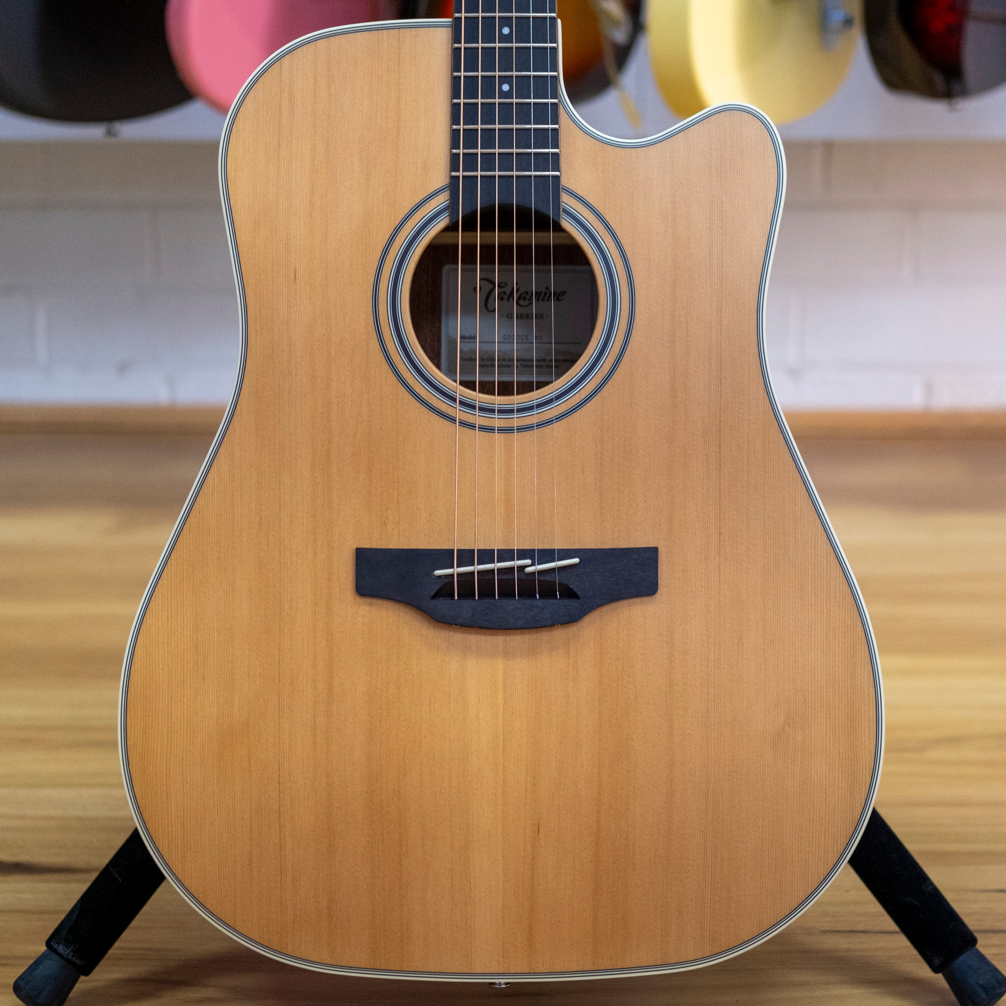 Takamine G20 Series Dreadnought Acoustic Electric Guitar