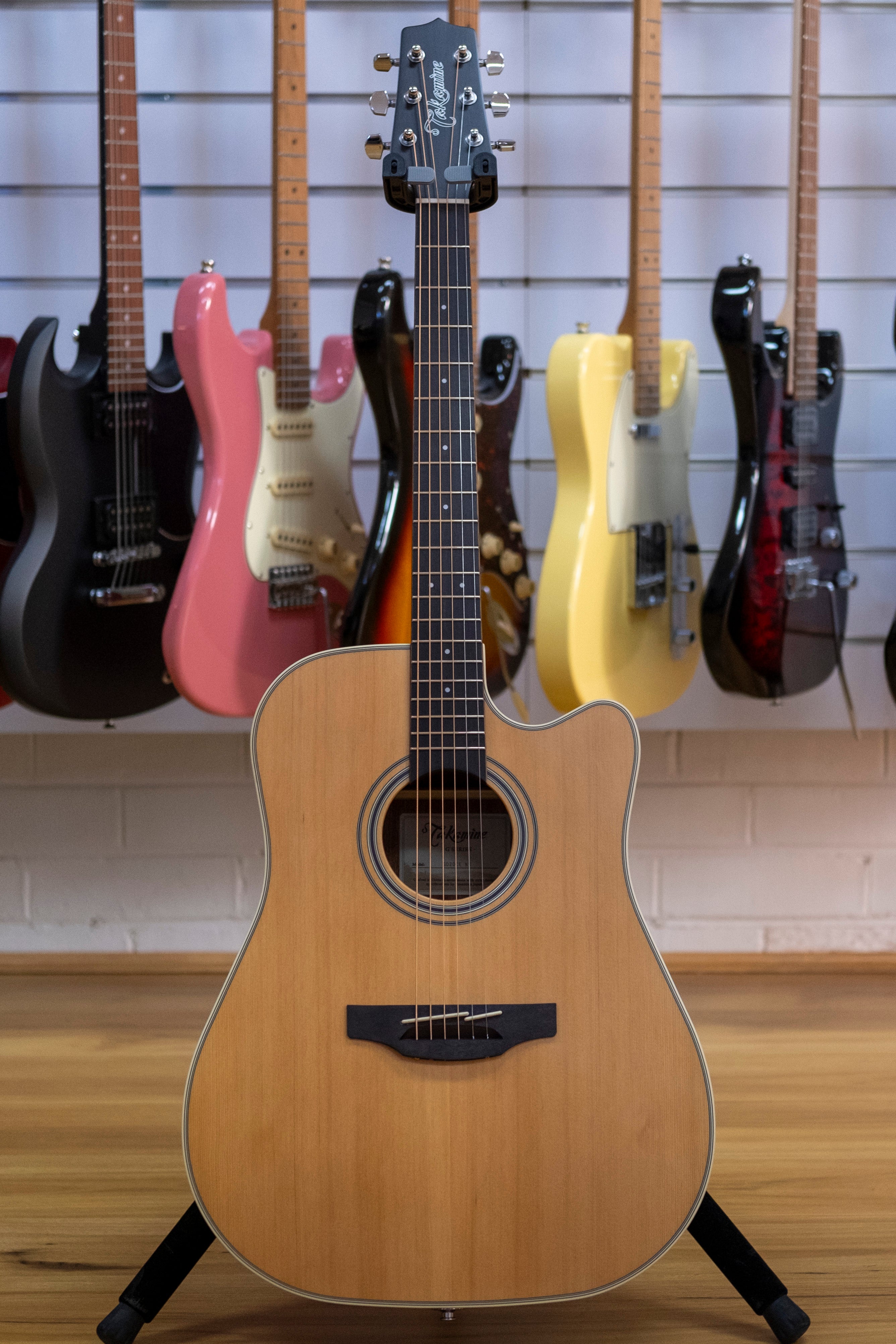 Takamine G20 Series Dreadnought Acoustic Electric Guitar
