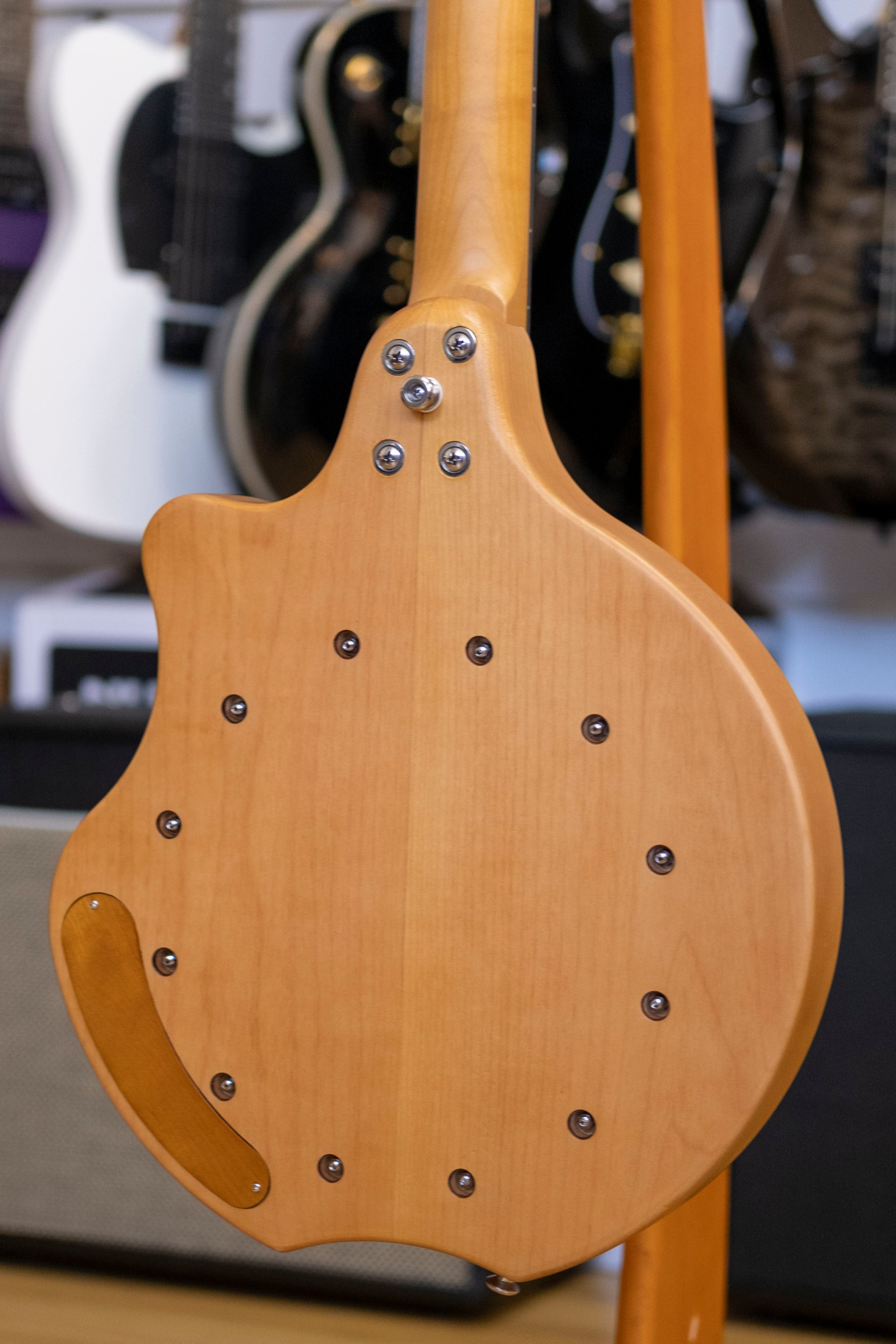 Bryden 5-String Electric Hybrid Mountain Banjo