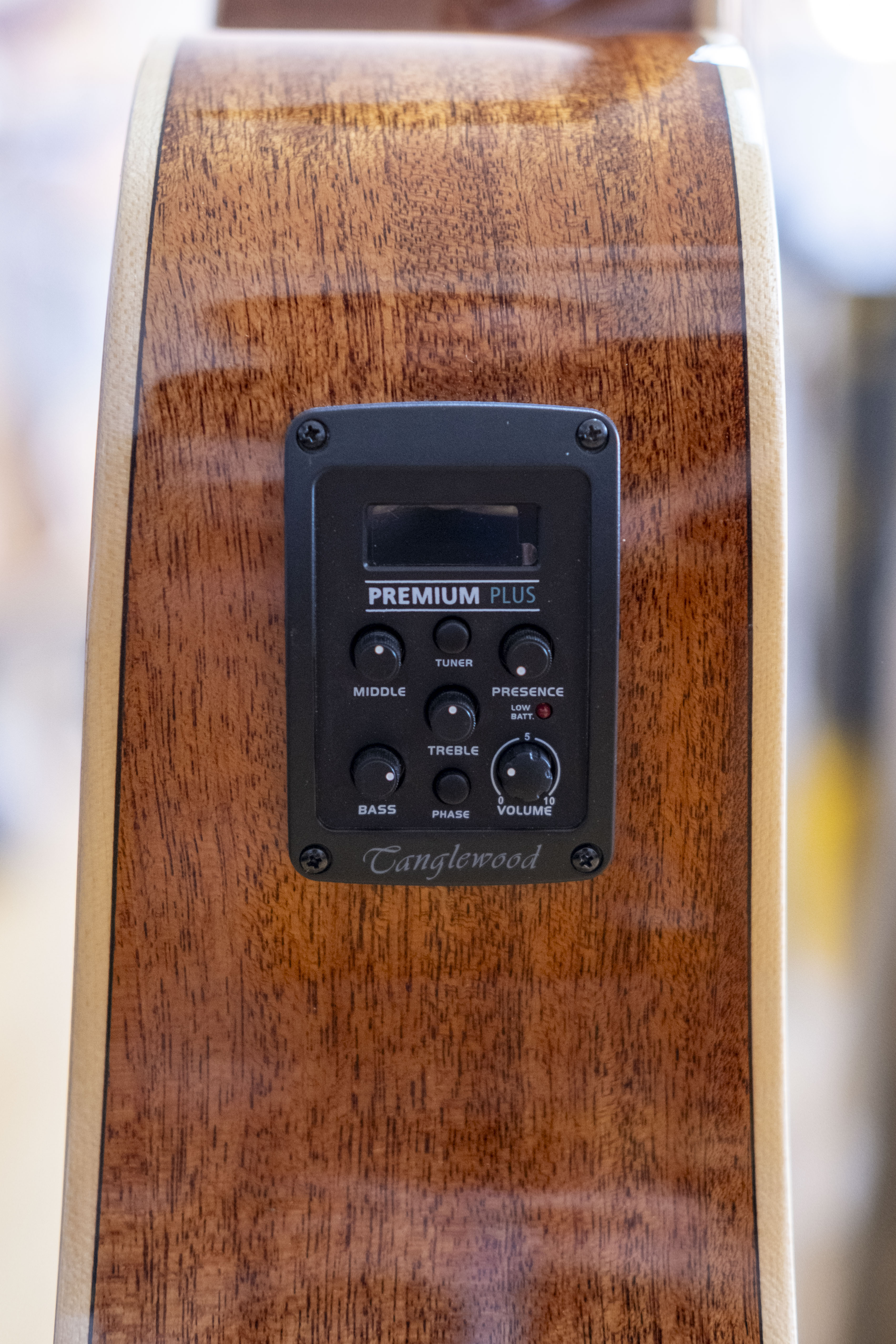 Tanglewood Winterleaf Pro Dreadnought Acoustic Electric Guitar