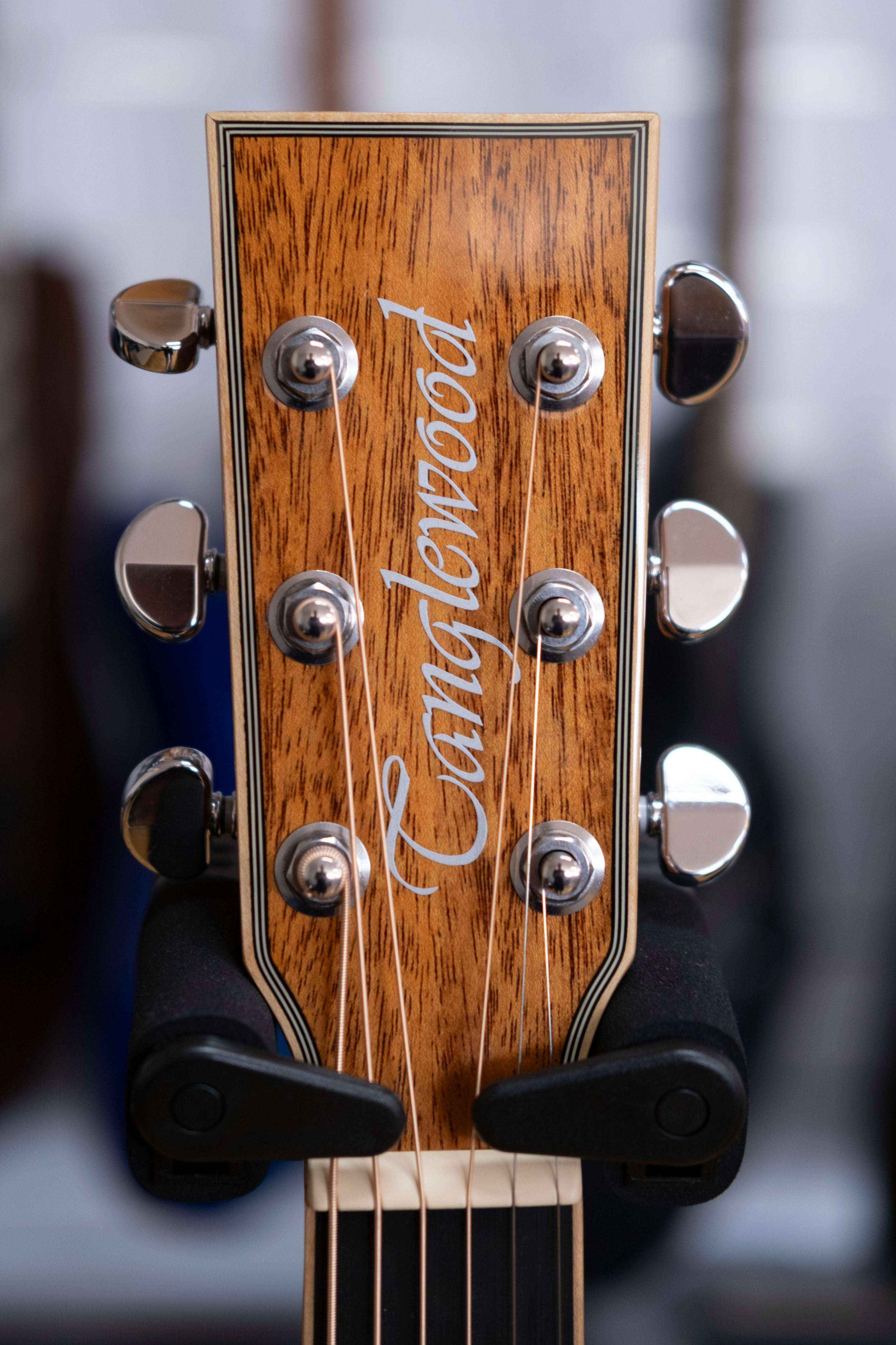 Tanglewood Winterleaf Pro Dreadnought Acoustic Electric Guitar