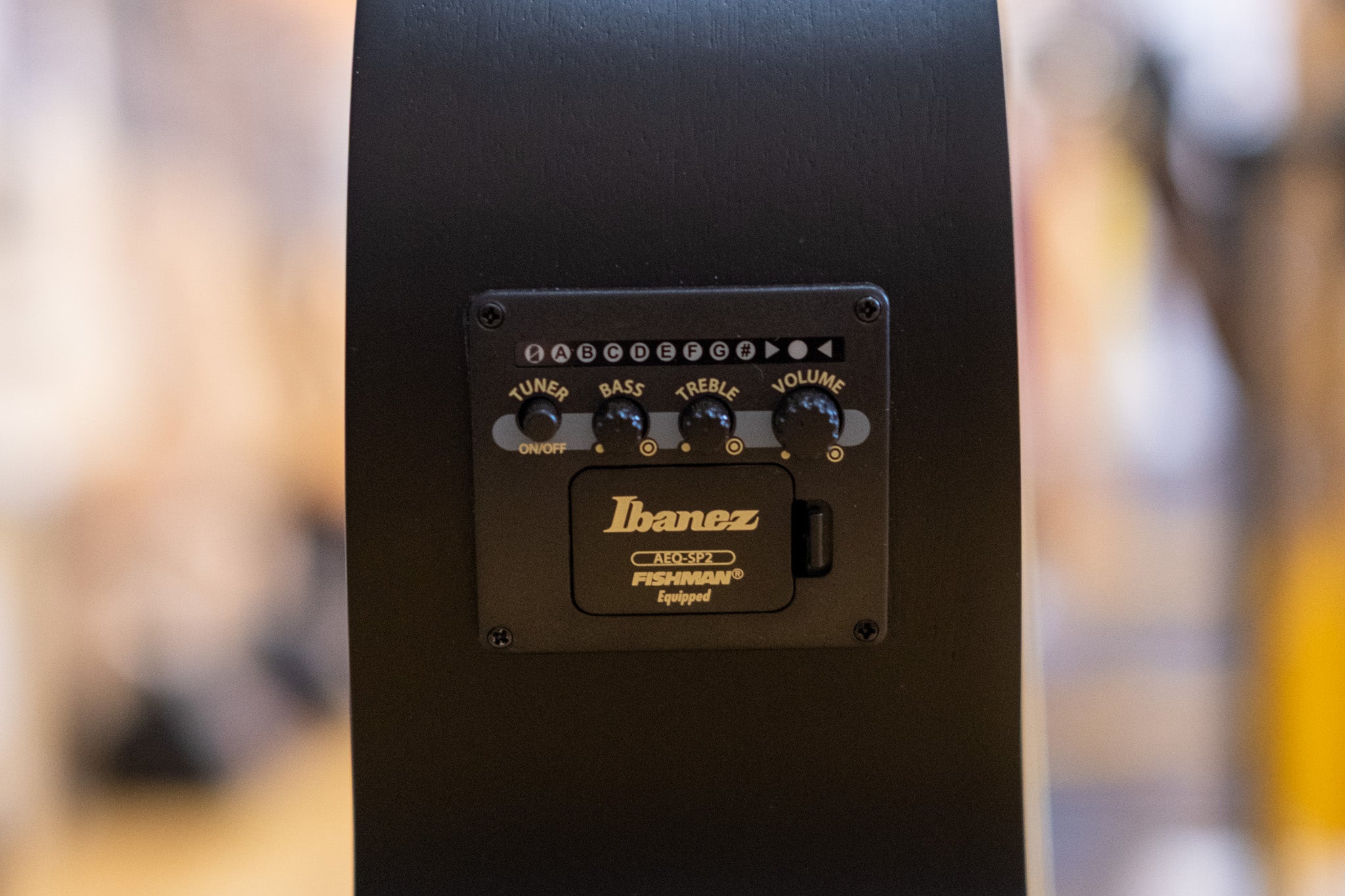 Ibanez AEWC621 Acoustic Electric Guitar (Black Out)