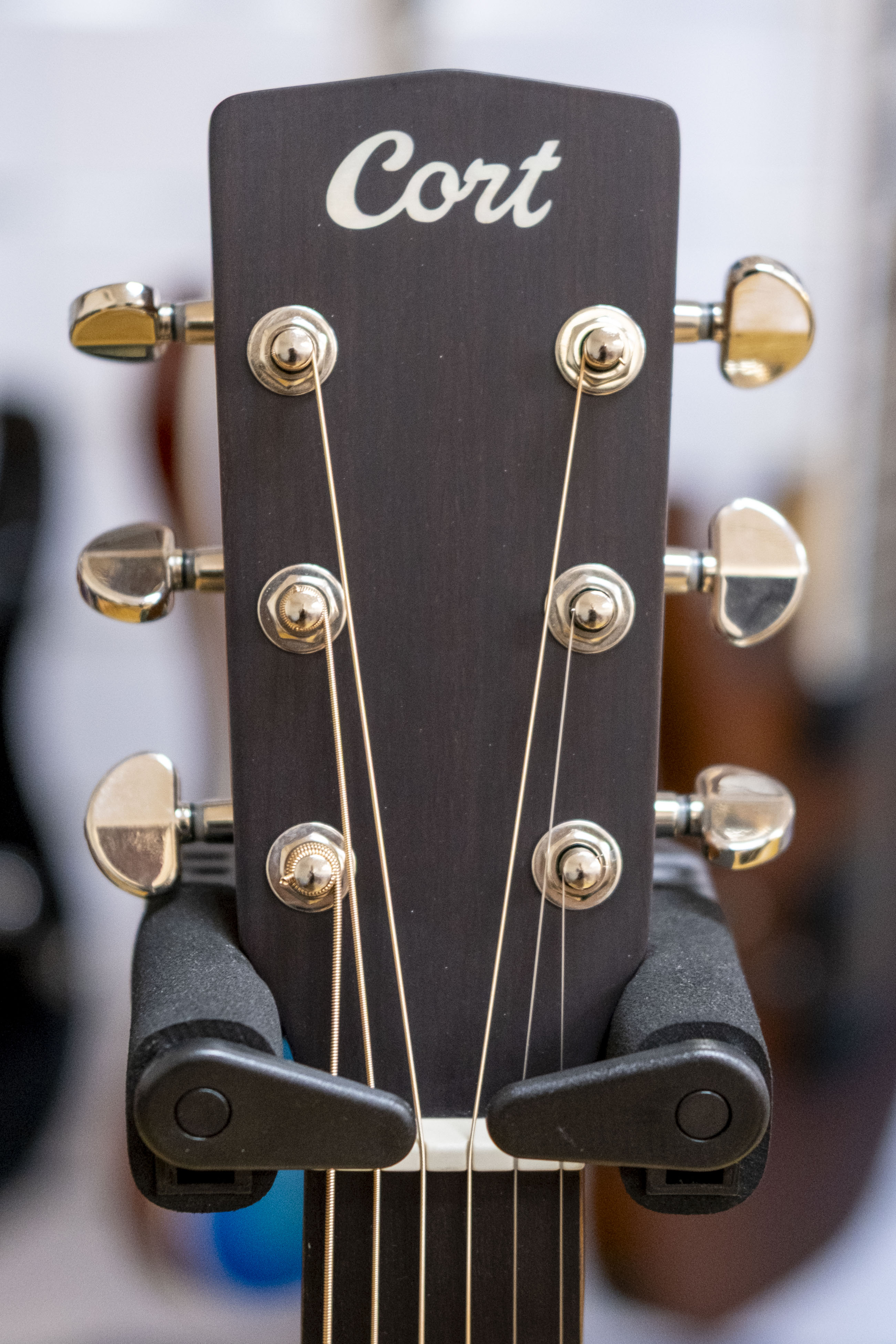 Cort Luce Series Concert Acoustic Guitar (Solid Mahogany Top / Back)