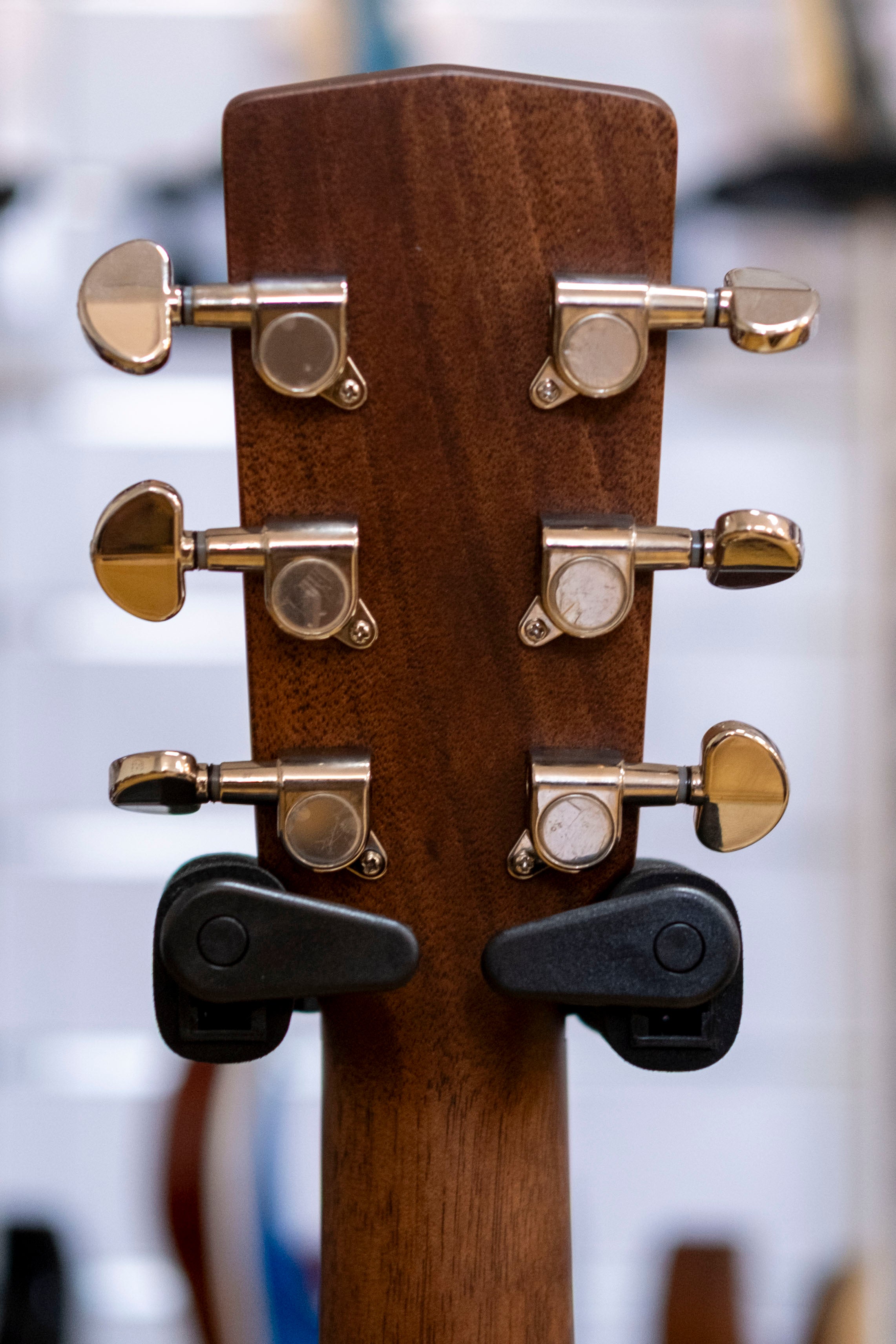 Cort Luce Series Concert Acoustic Guitar (Solid Mahogany Top / Back)