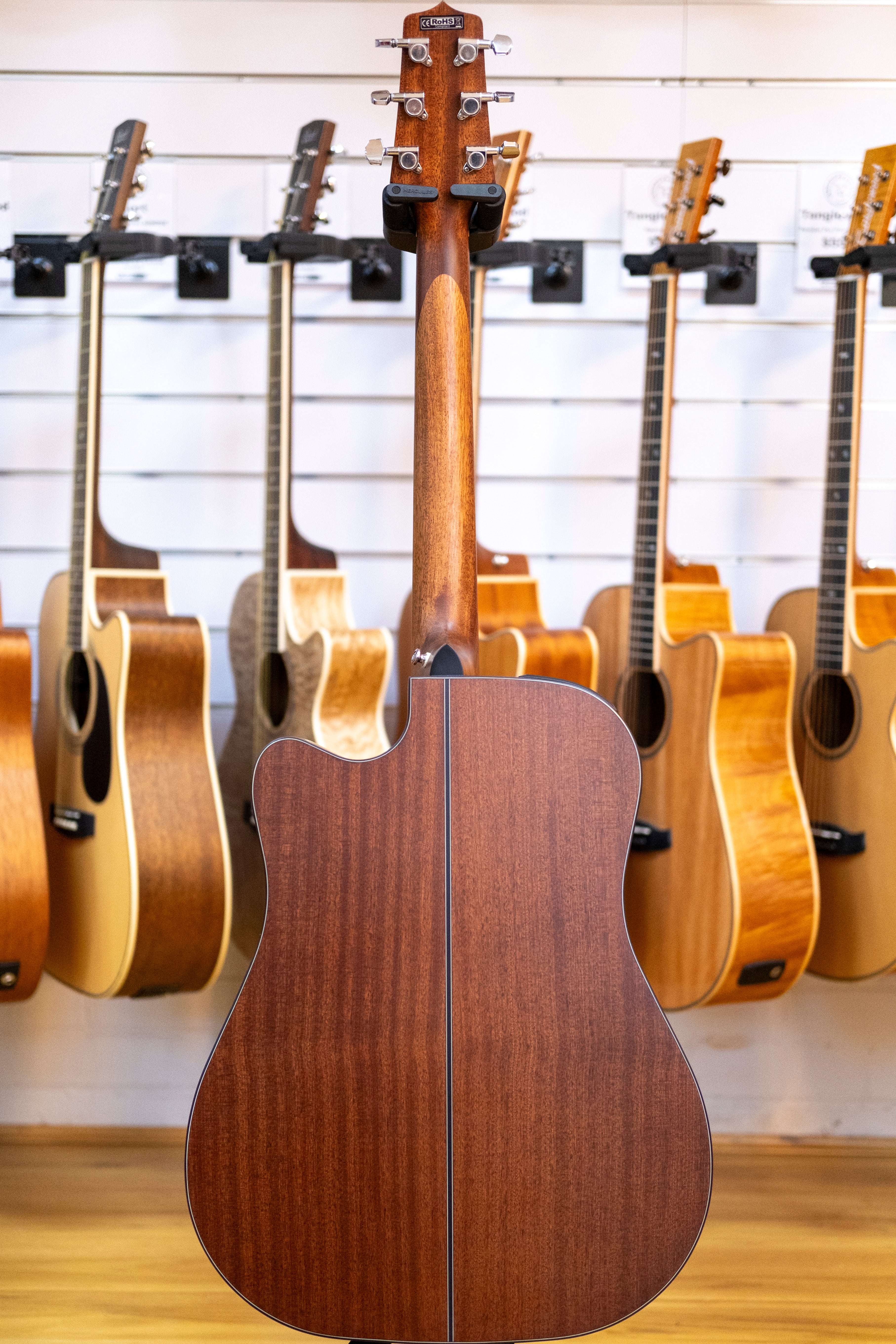 Takamine G10 Series Dreadnought Acoustic Electric Guitar