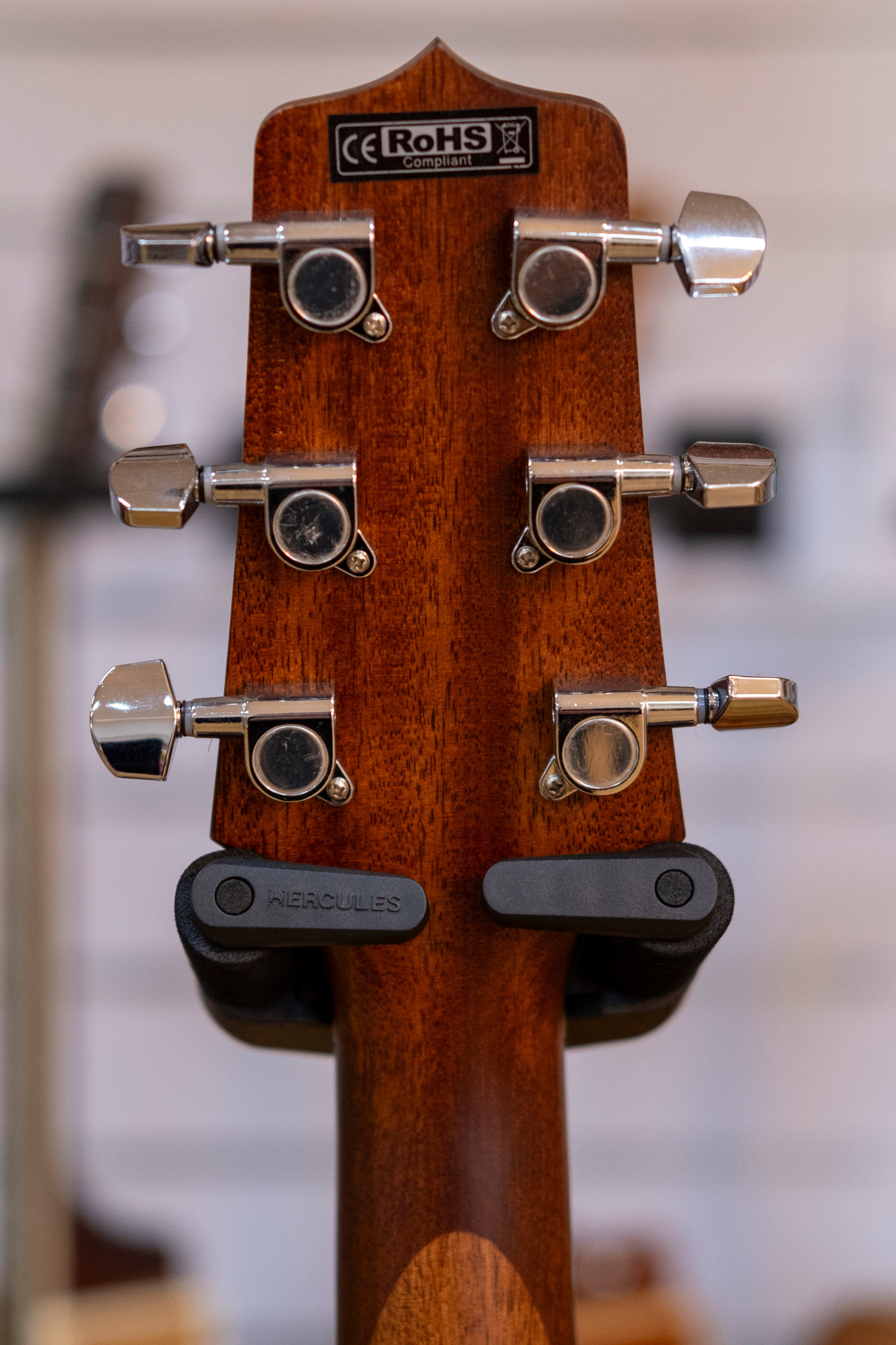 Takamine G10 Series Dreadnought Acoustic Electric Guitar