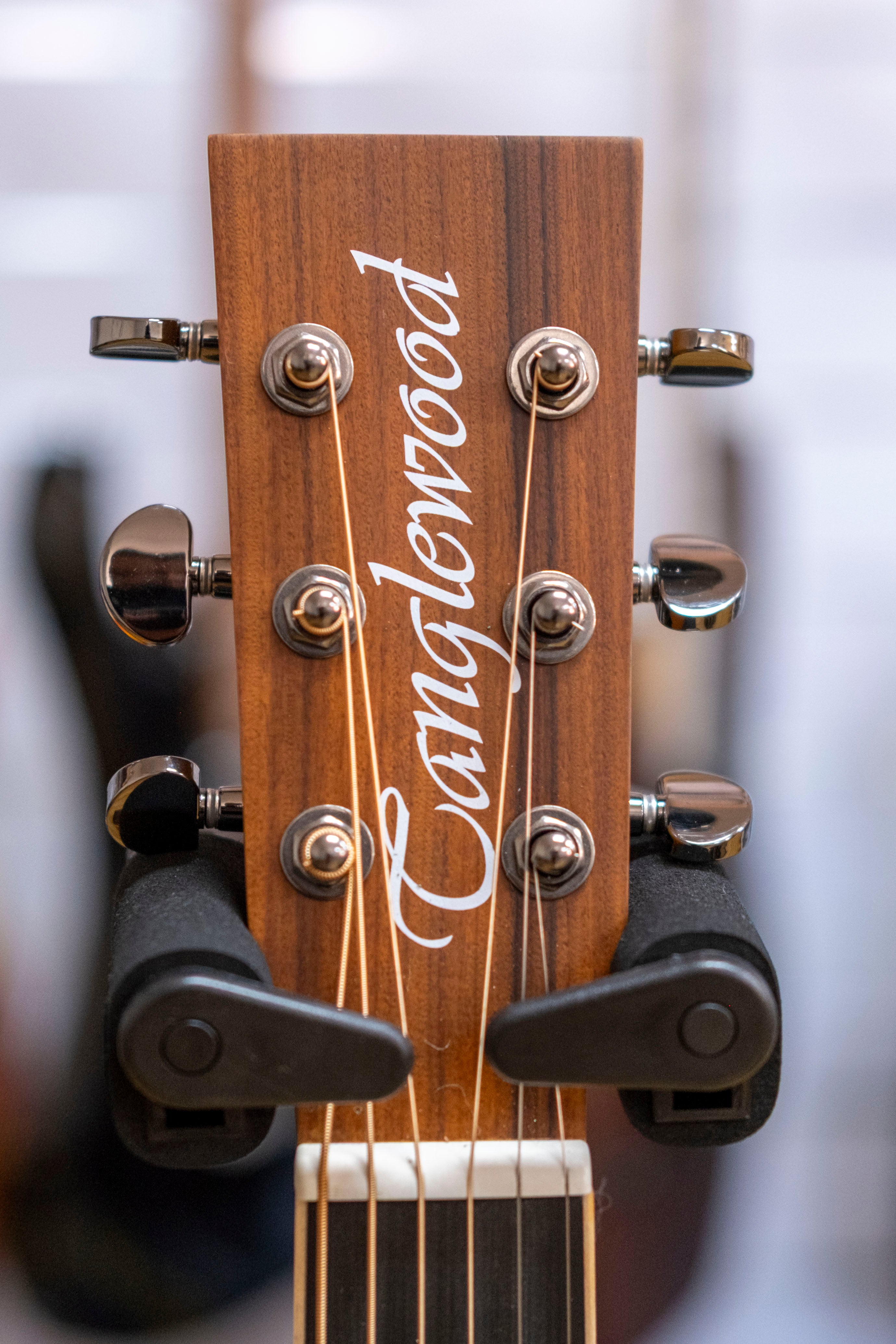 Tanglewood Reunion Pro Superfolk Acoustic Electric Guitar (Santos)