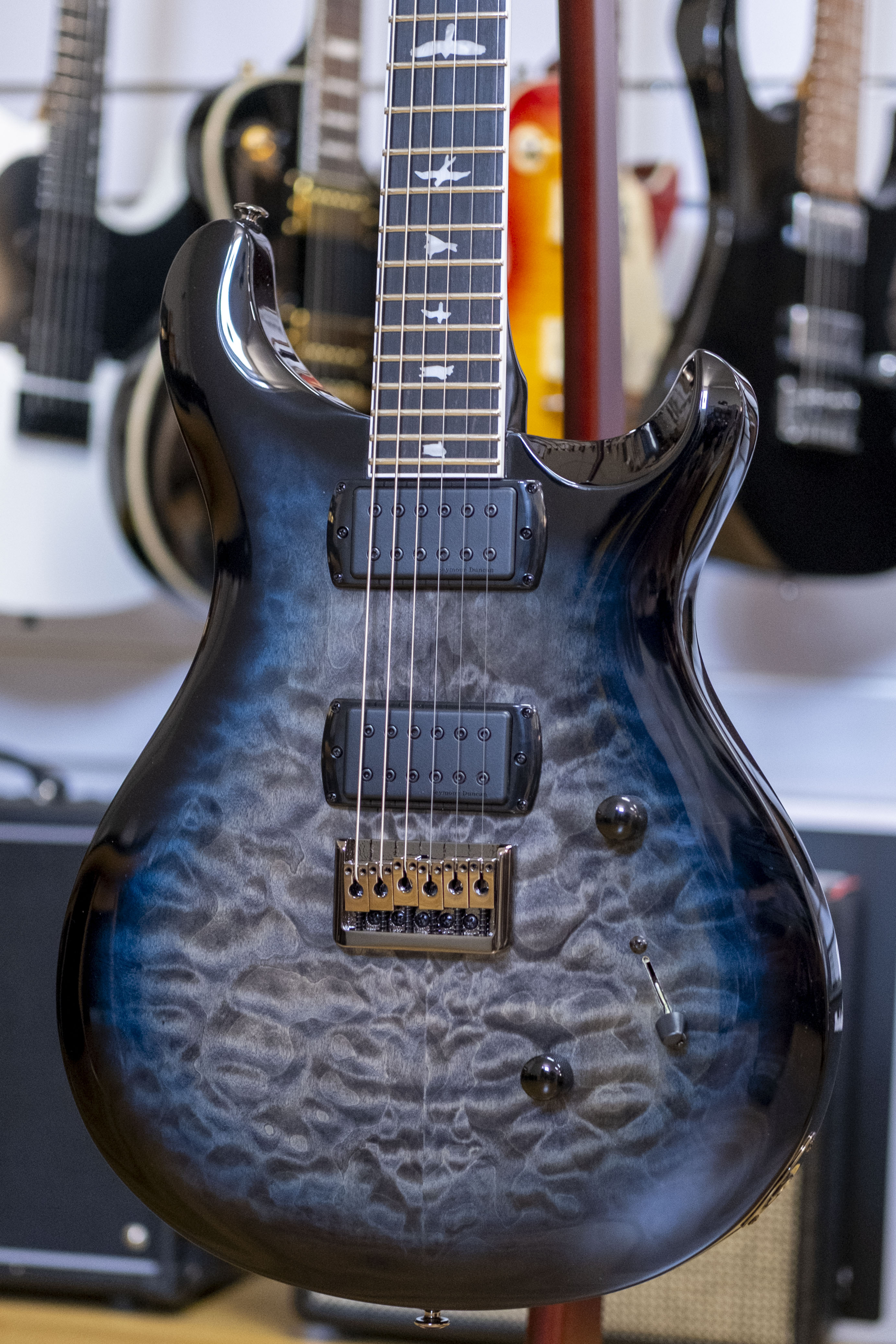 PRS SE Mark Holcomb Signature Electric Guitar with Bag (Holcomb Blue Burst)