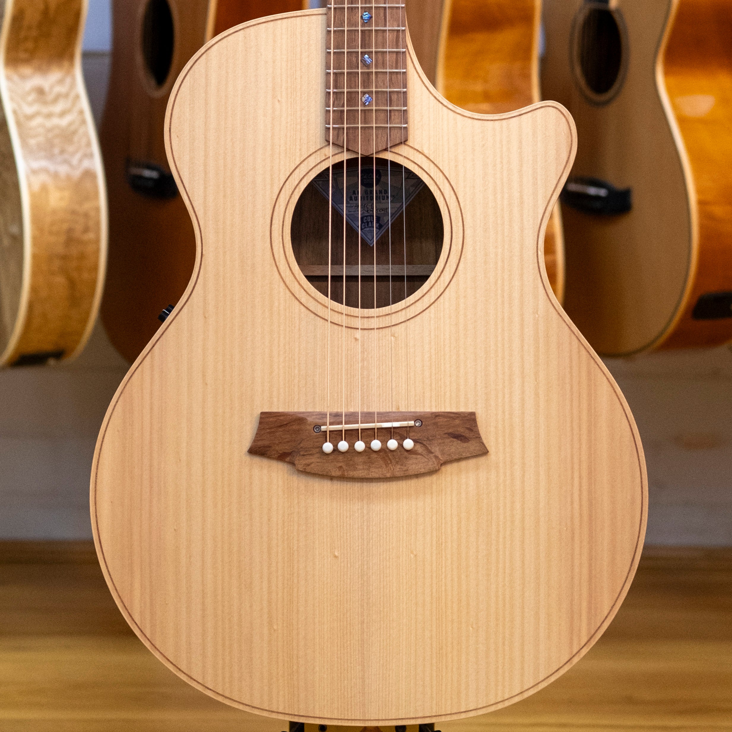 Cole Clark AN2EC Acoustic Electric Guitar with Hardcase (Bunya/Blackwood)