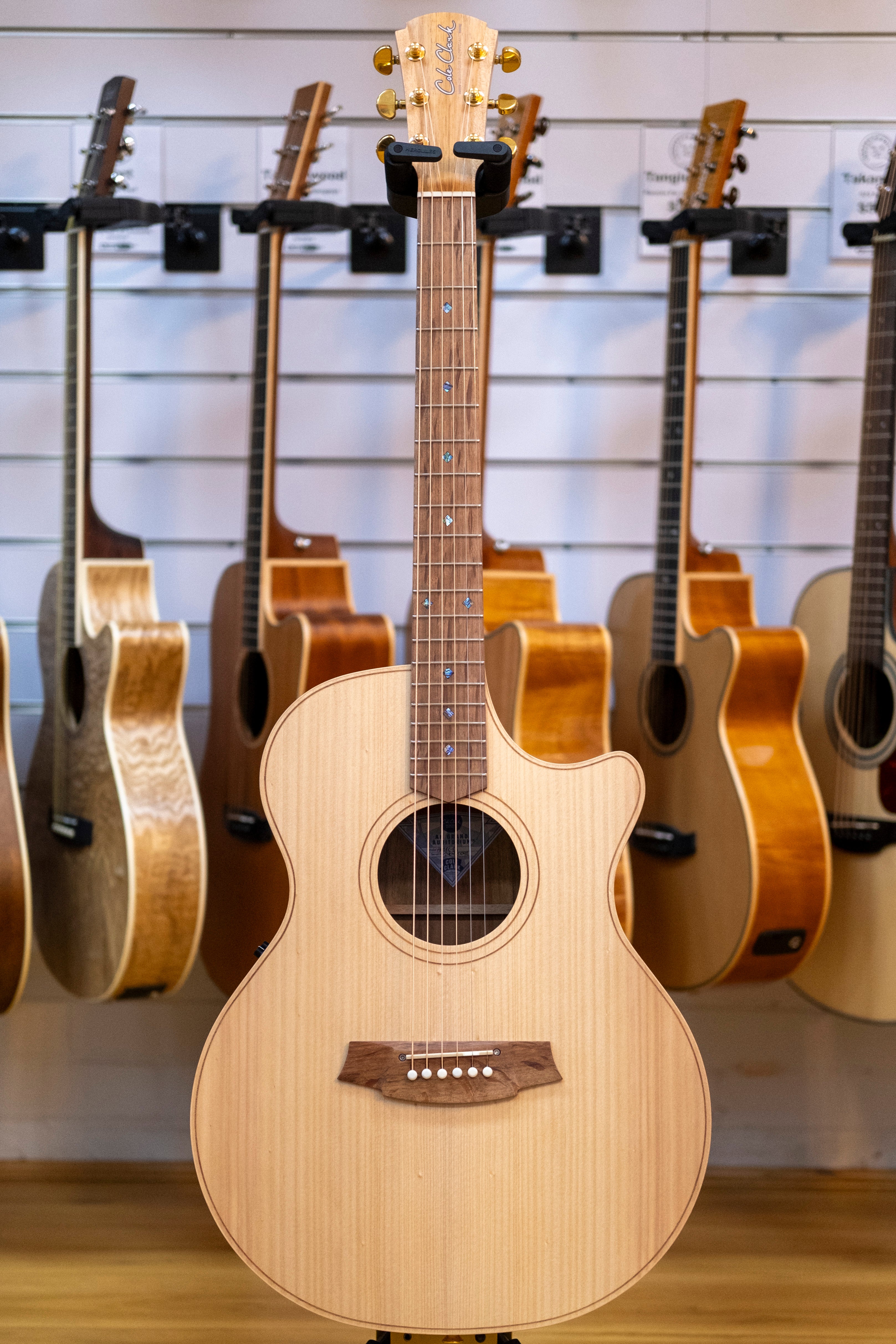 Cole Clark AN2EC Acoustic Electric Guitar with Hardcase (Bunya/Blackwood)