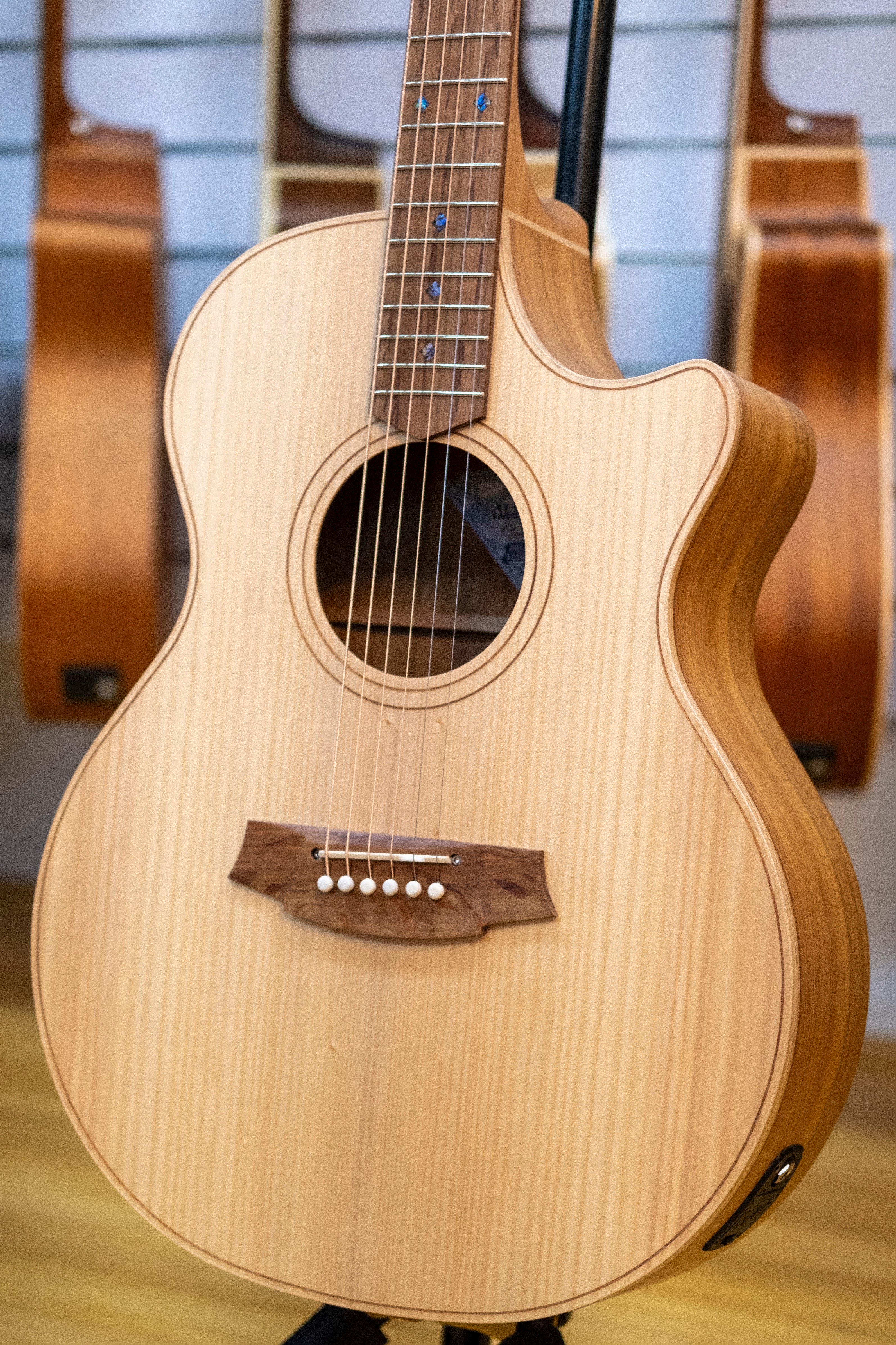 Cole Clark AN2EC Acoustic Electric Guitar with Hardcase (Bunya/Blackwood)