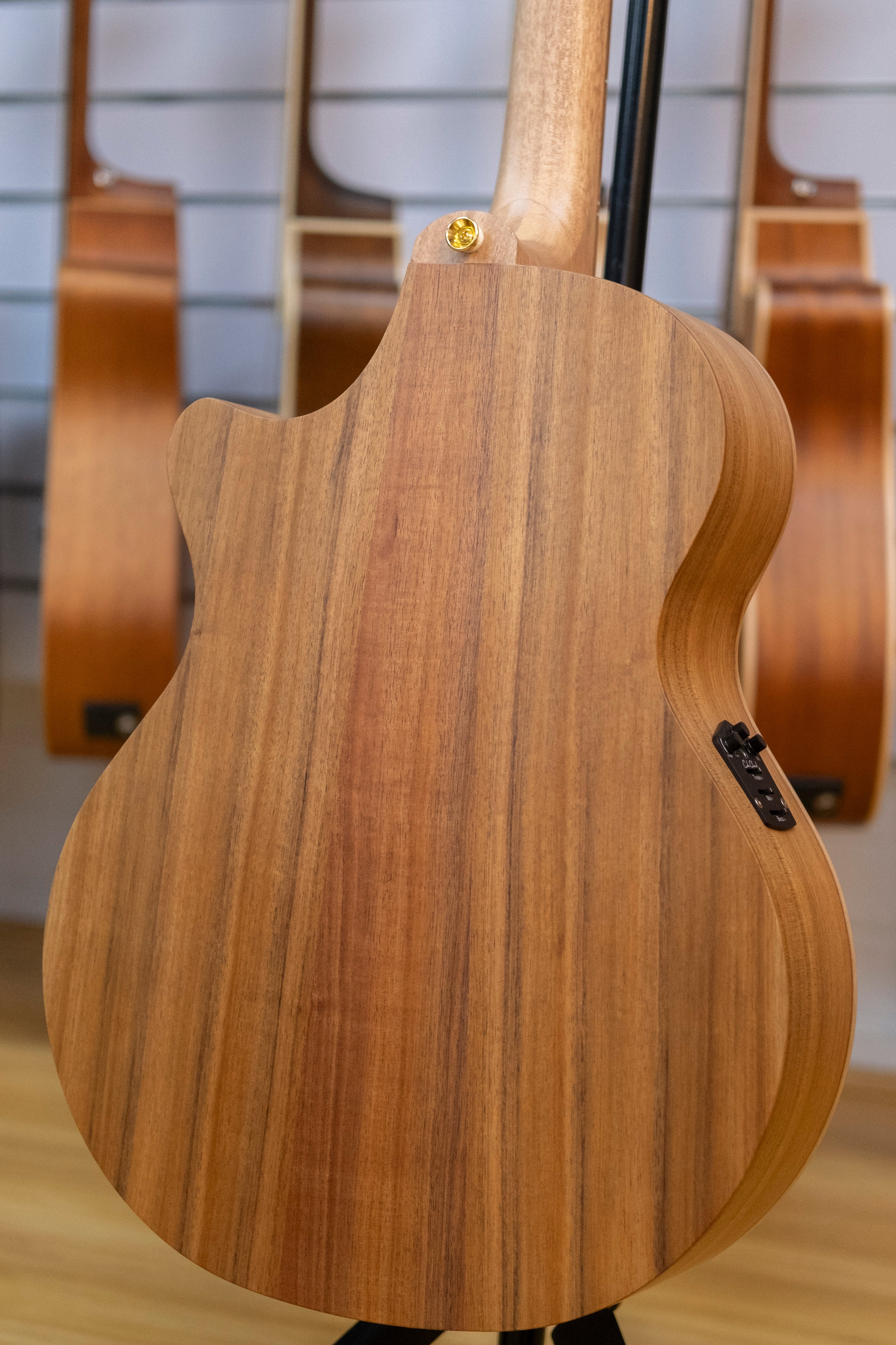 Cole Clark AN2EC Acoustic Electric Guitar with Hardcase (Bunya/Blackwood)