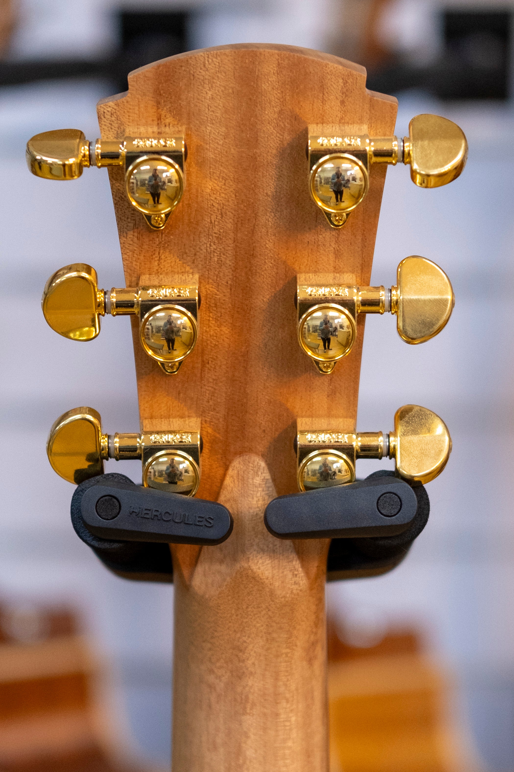 Cole Clark AN2EC Acoustic Electric Guitar with Hardcase (Bunya/Blackwood)