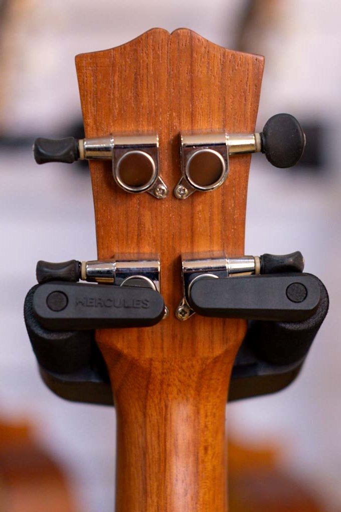 Mojo 40 Series Electric Concert Ukulele (Spruce/Rosewood)